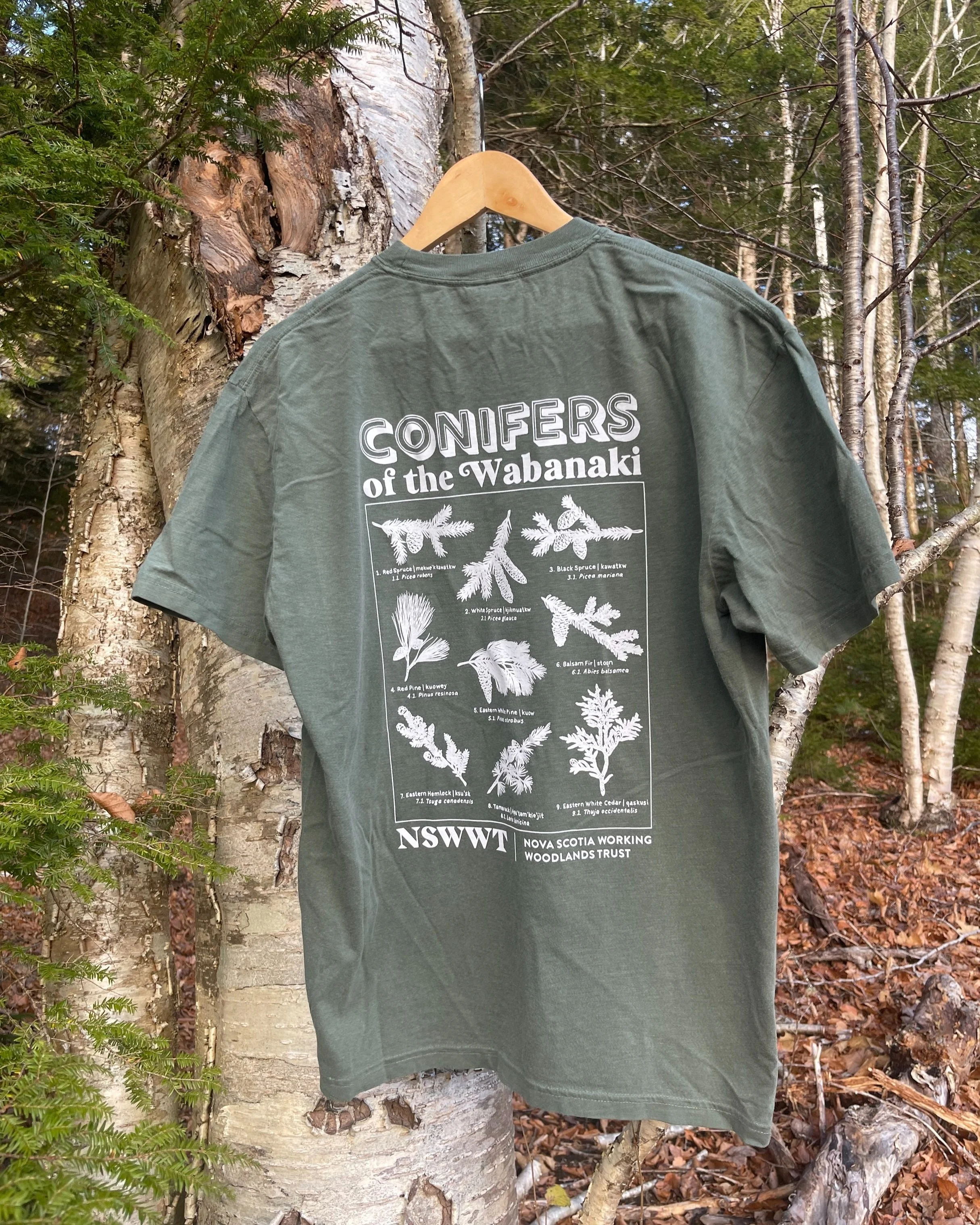 Conifers of the Wabanaki T-shirt