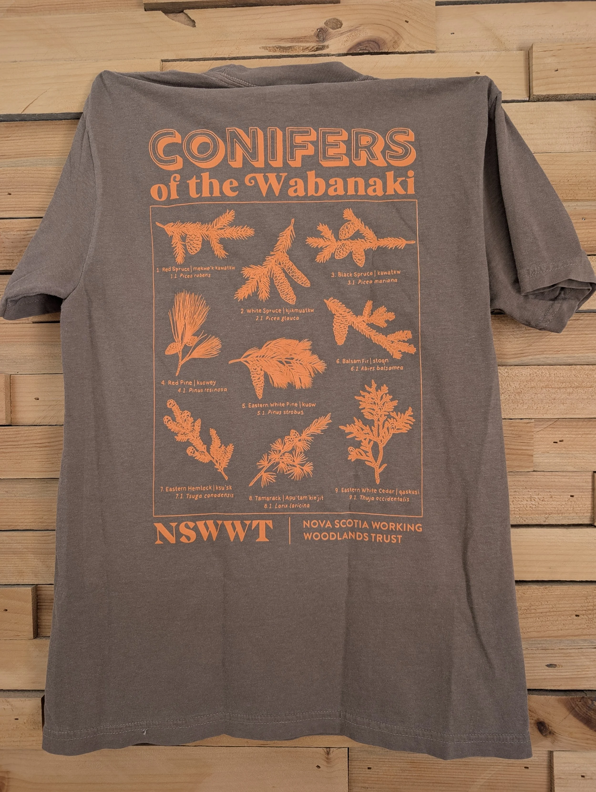 PXL_20260129_155049495.MP (1).jpg