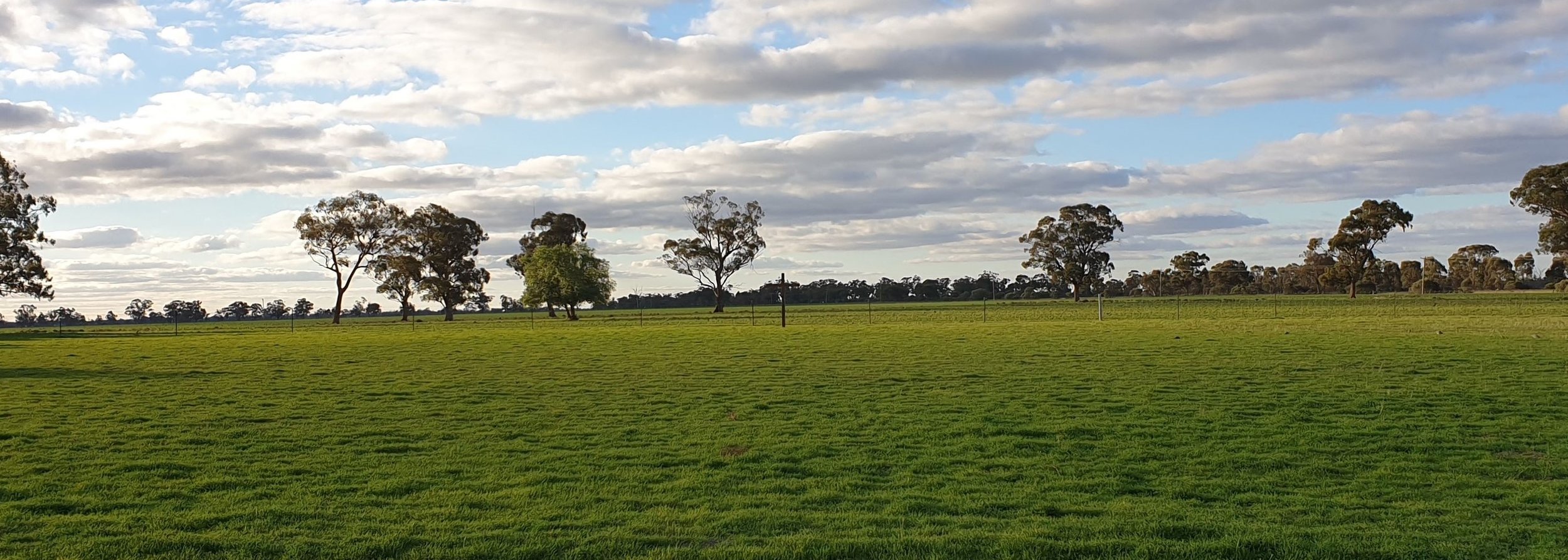  The front paddock, with large Cross.   June 2019  