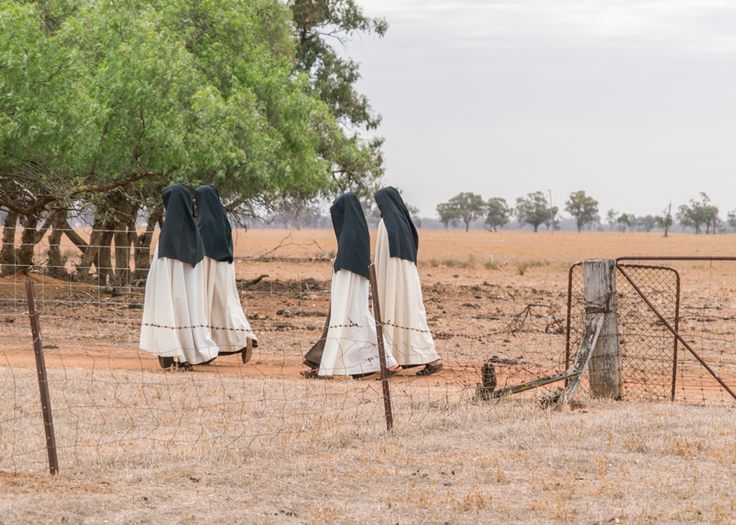  The Nuns walking in the front paddock.   March 2019  