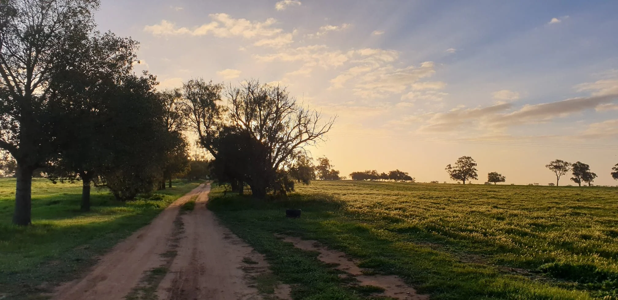 The driveway entrance at Sunset. August 2019