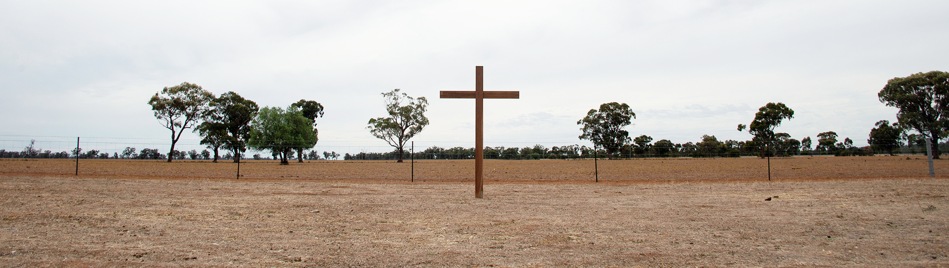  Front paddock, looking north.   March 2019  