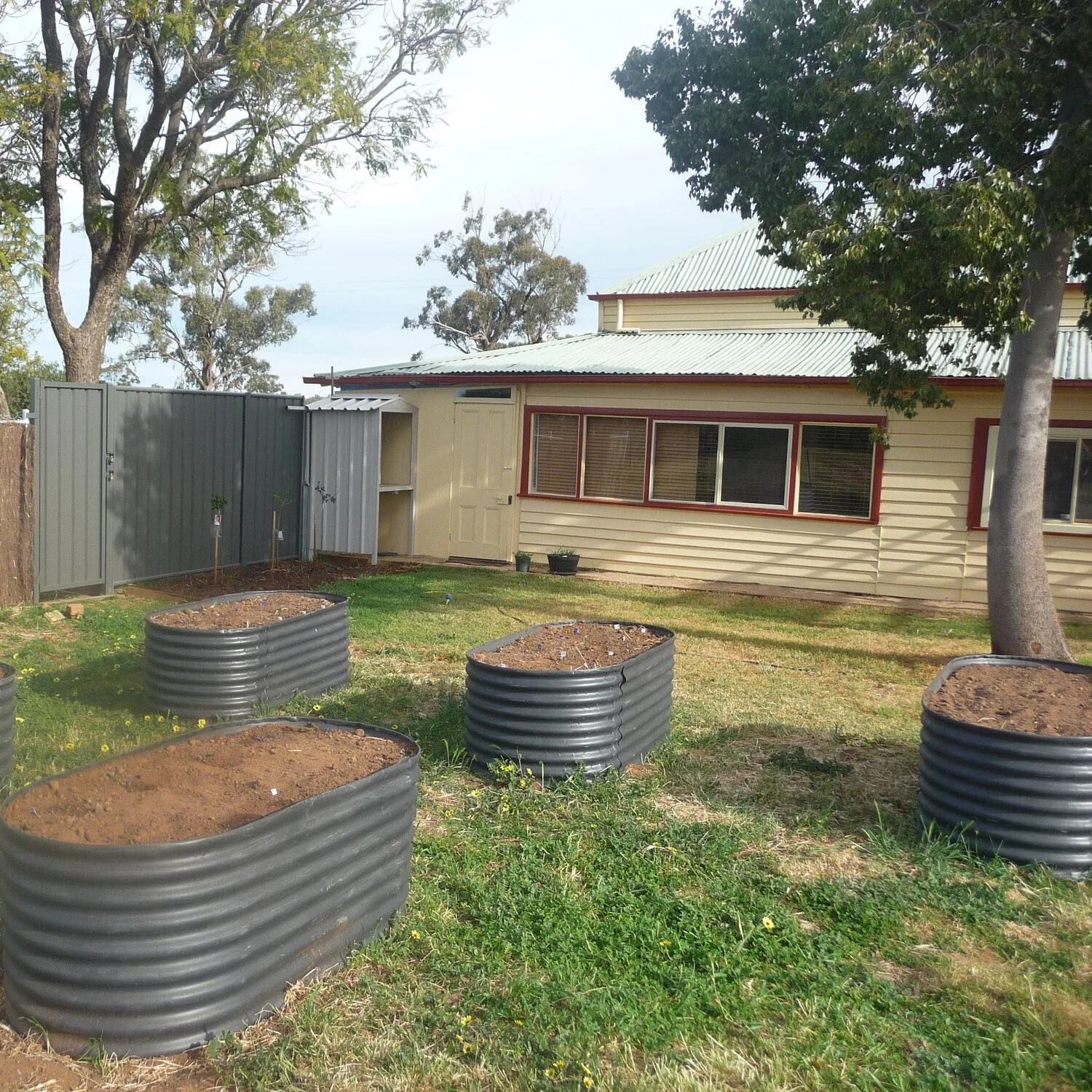 Enclosure 2019.jpg