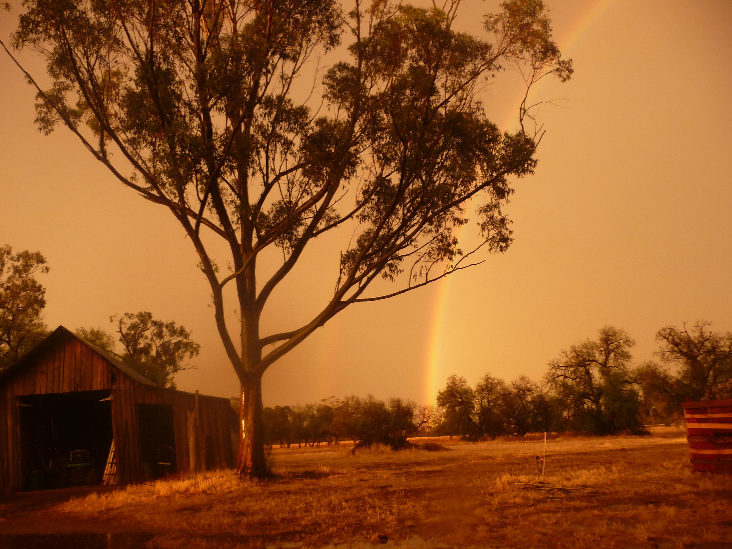  A rainbow!   November 2019  