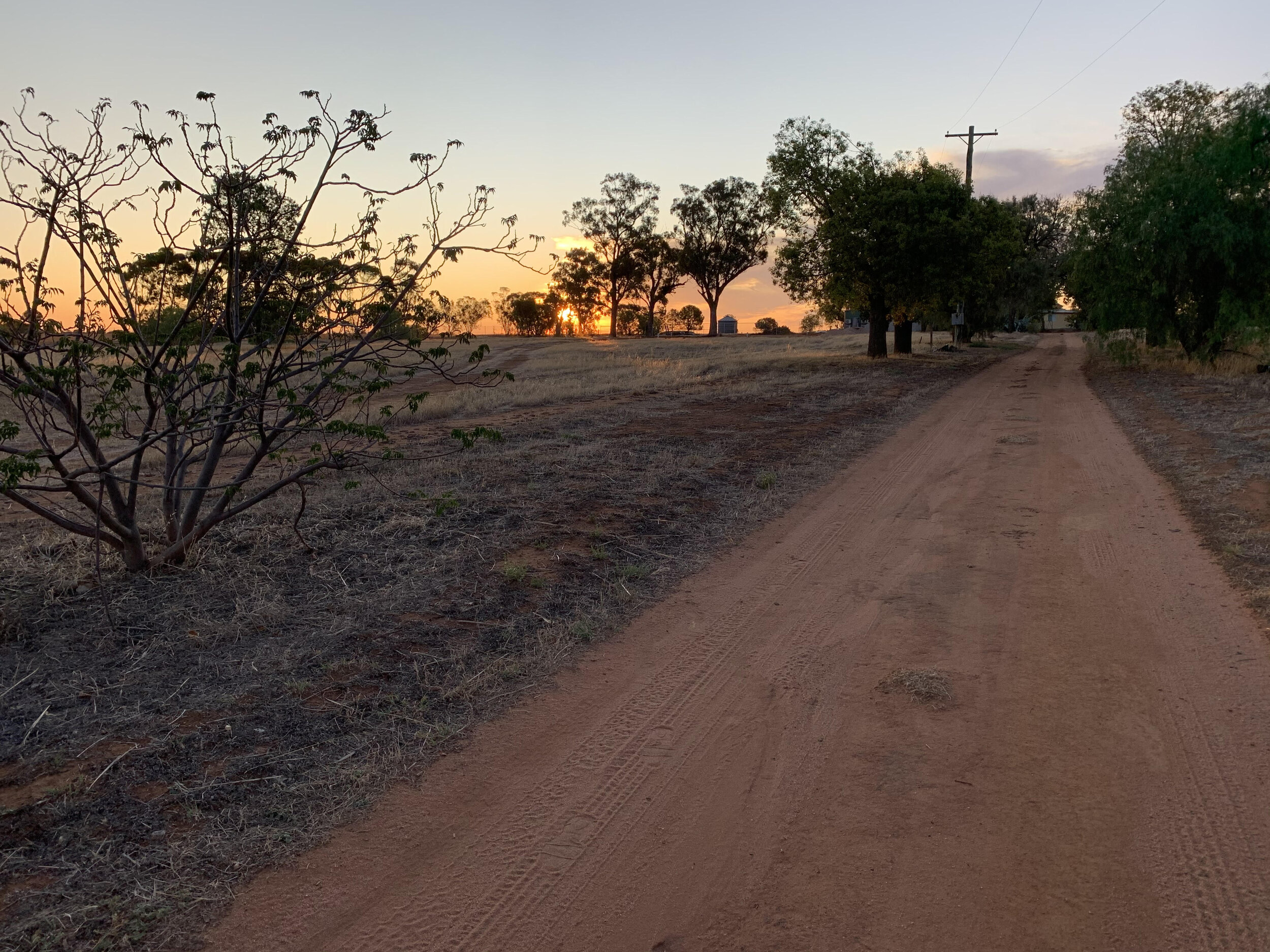  The driveway   February 2020  