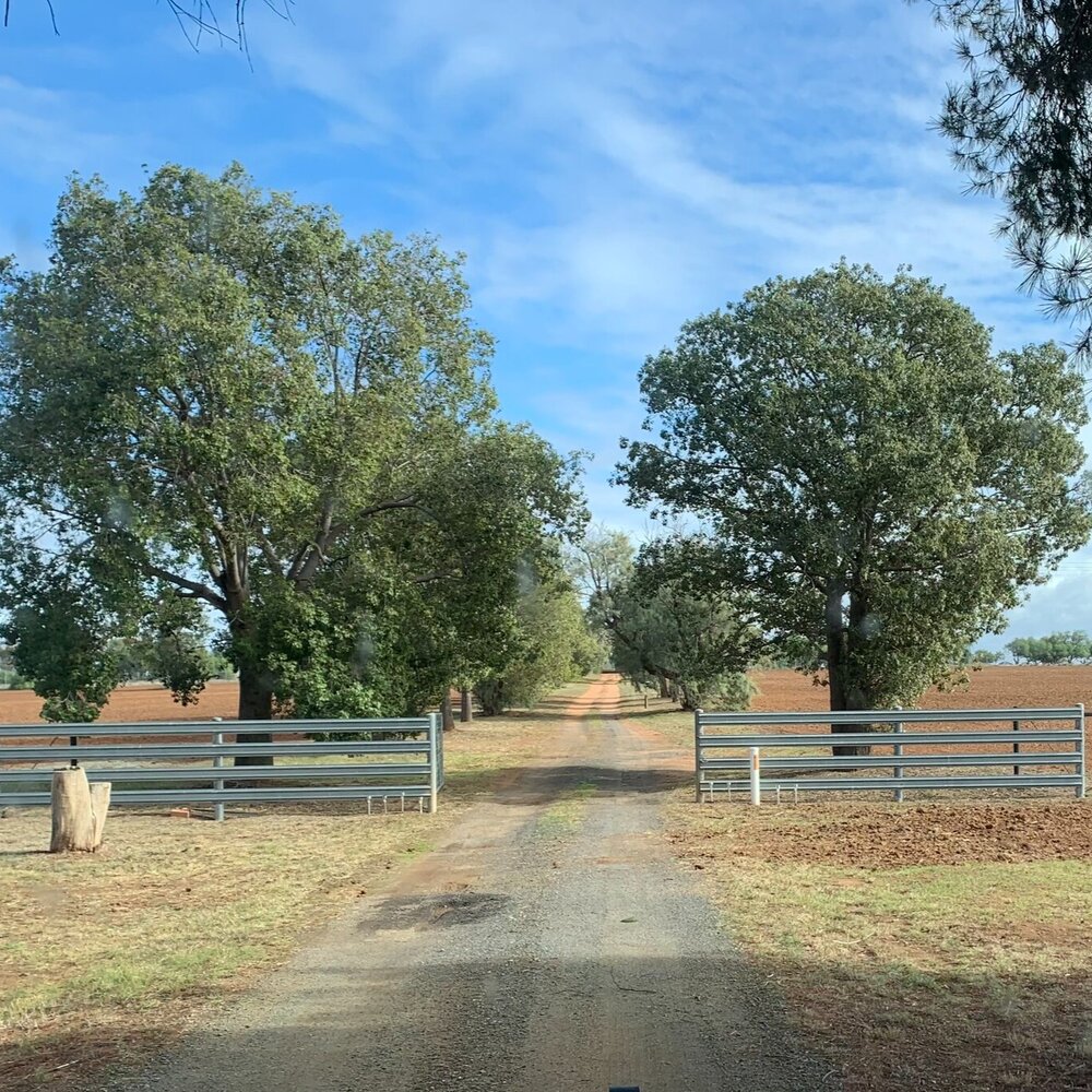 view of the front driveway in June, with the nearby paddocks recently ploughed by a kind friend