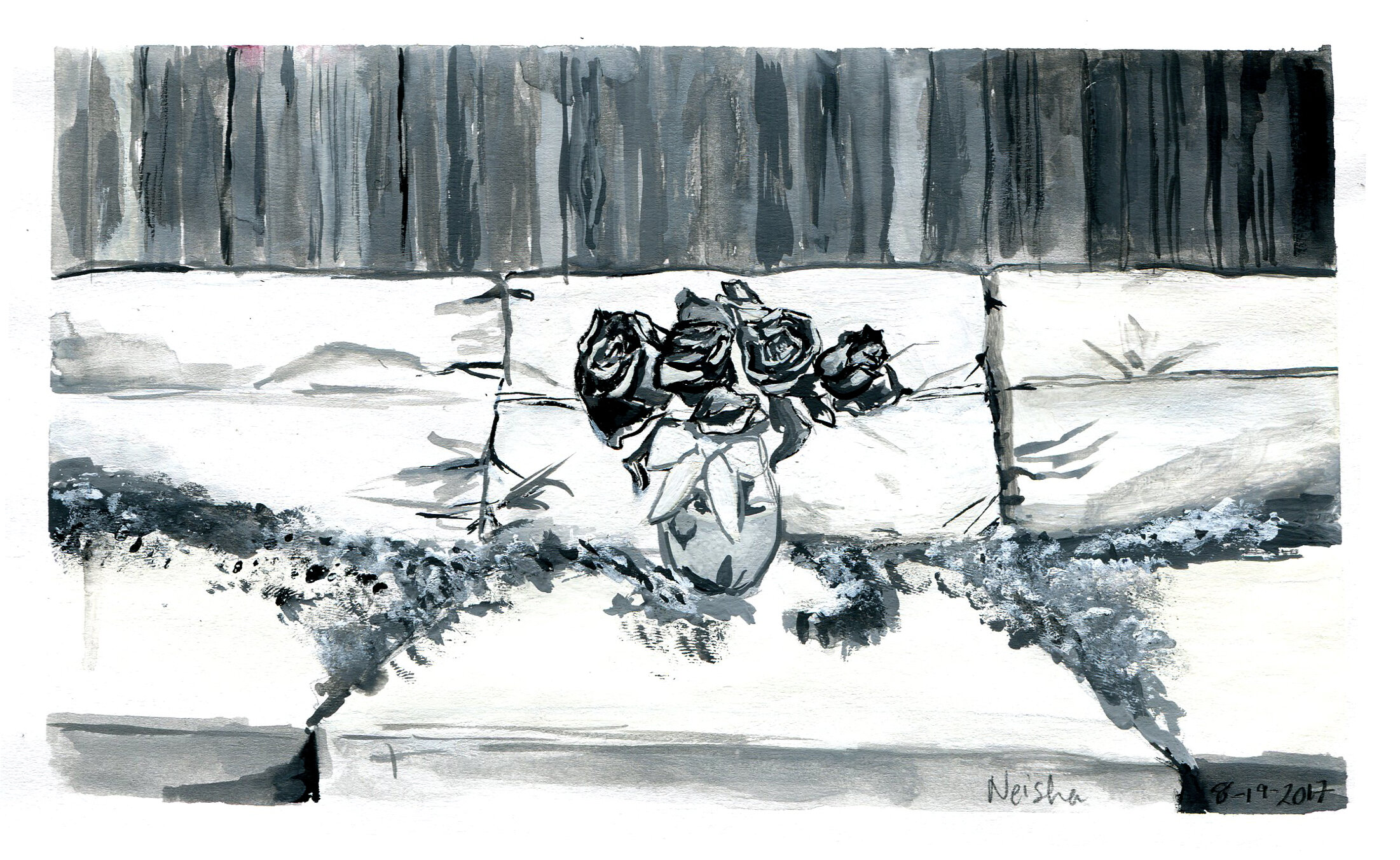 Black &amp; White Roses