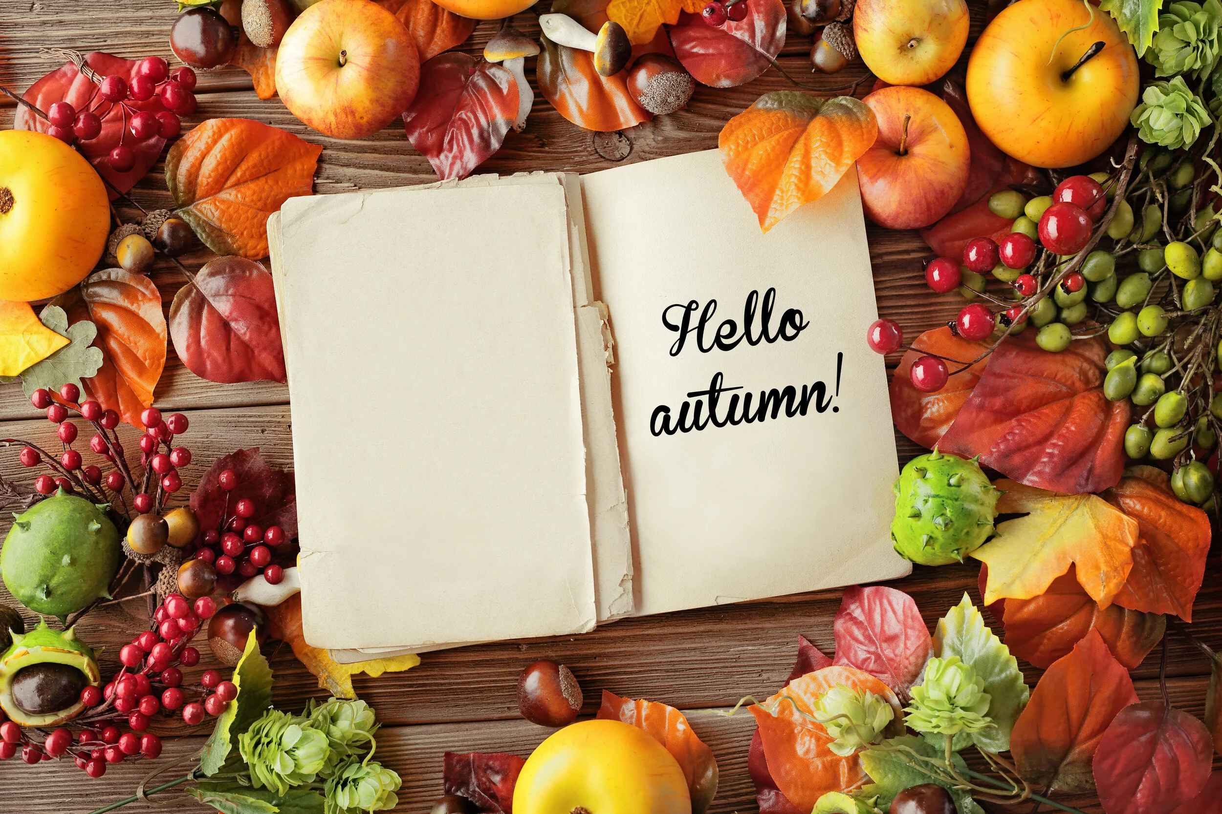 Call for Fall-themed Recipes for New Ridgeview Cookbook