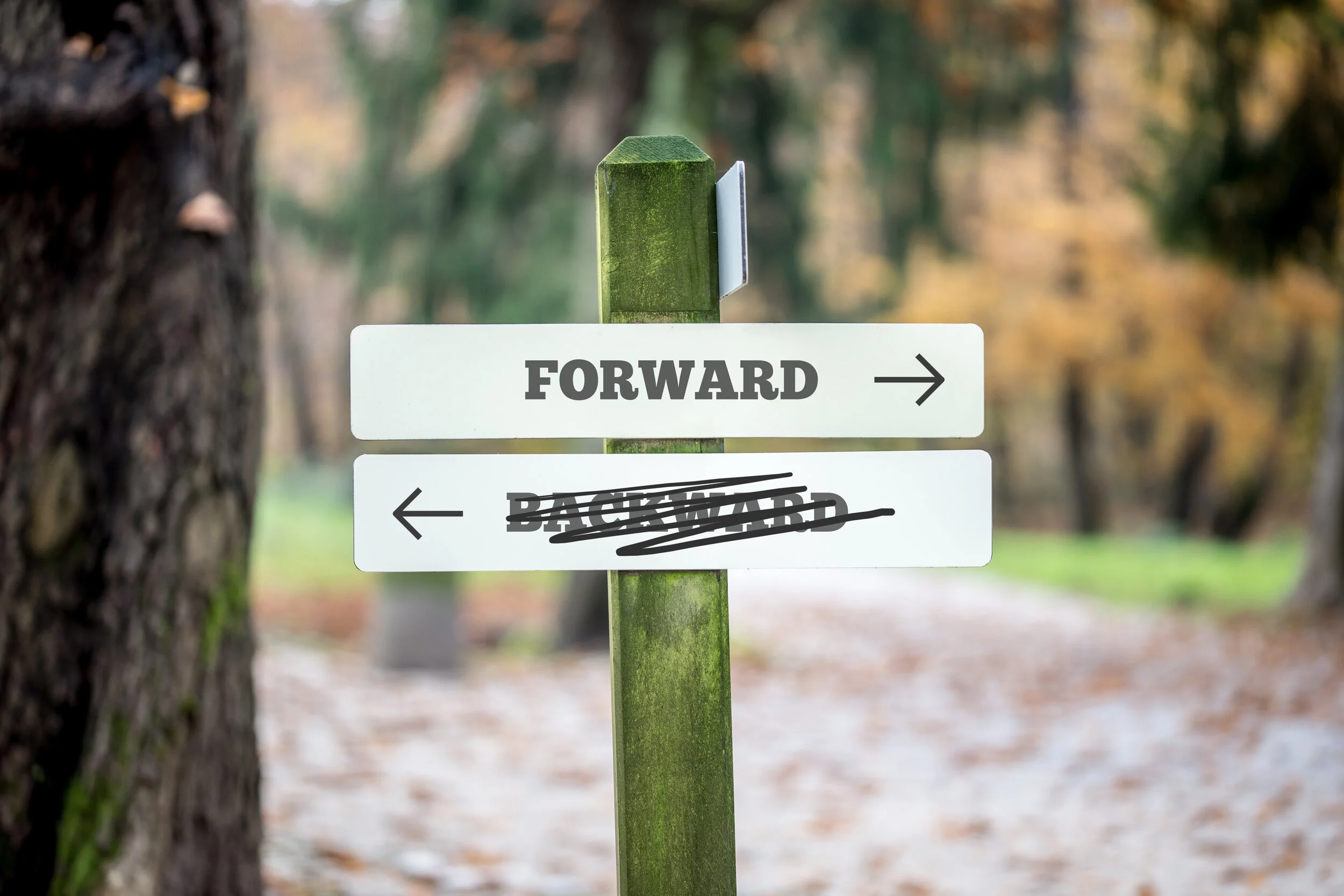 Further Forward, Never Froward