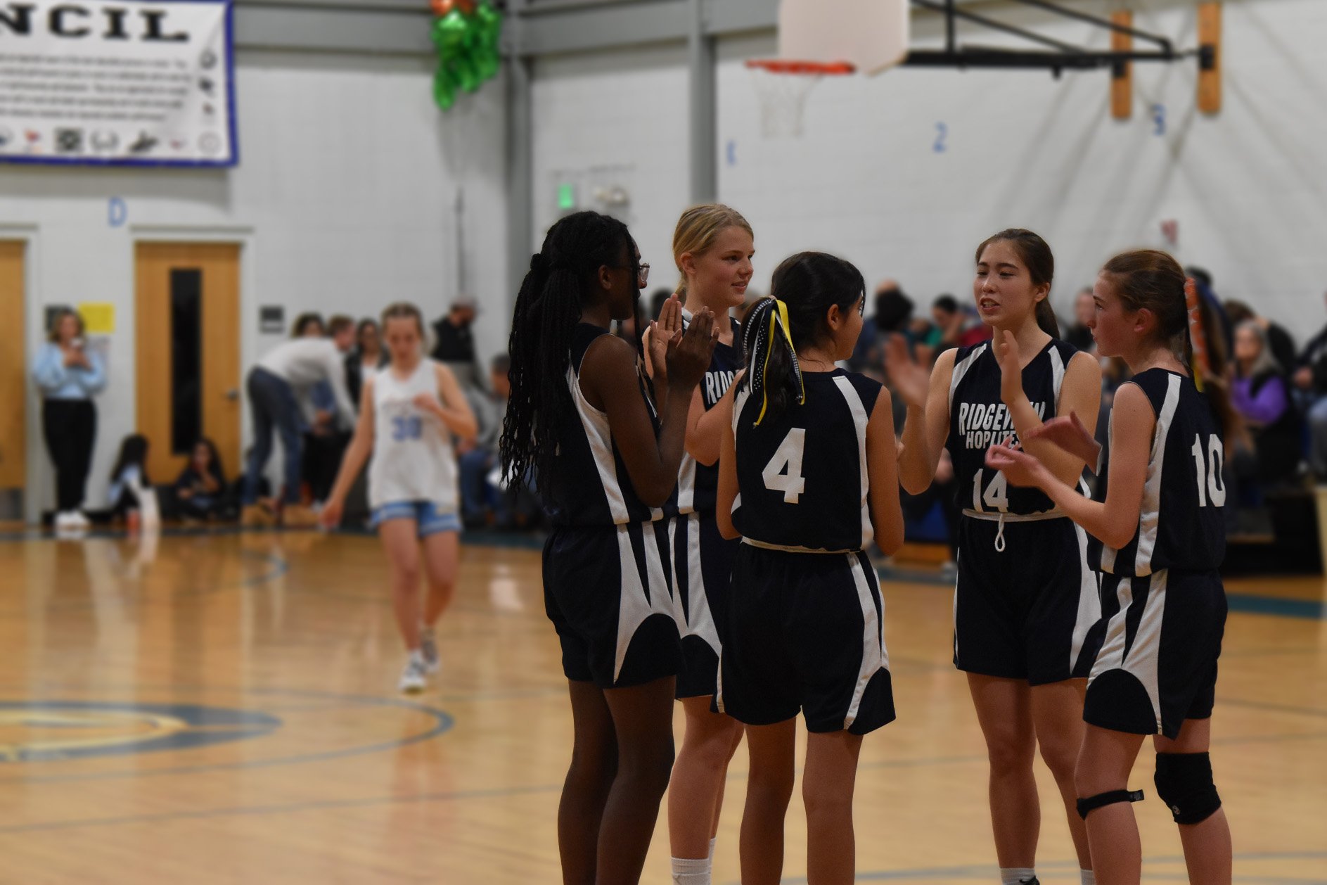 Ridgeview Girls Basketball NCIL Championship_0809.jpg