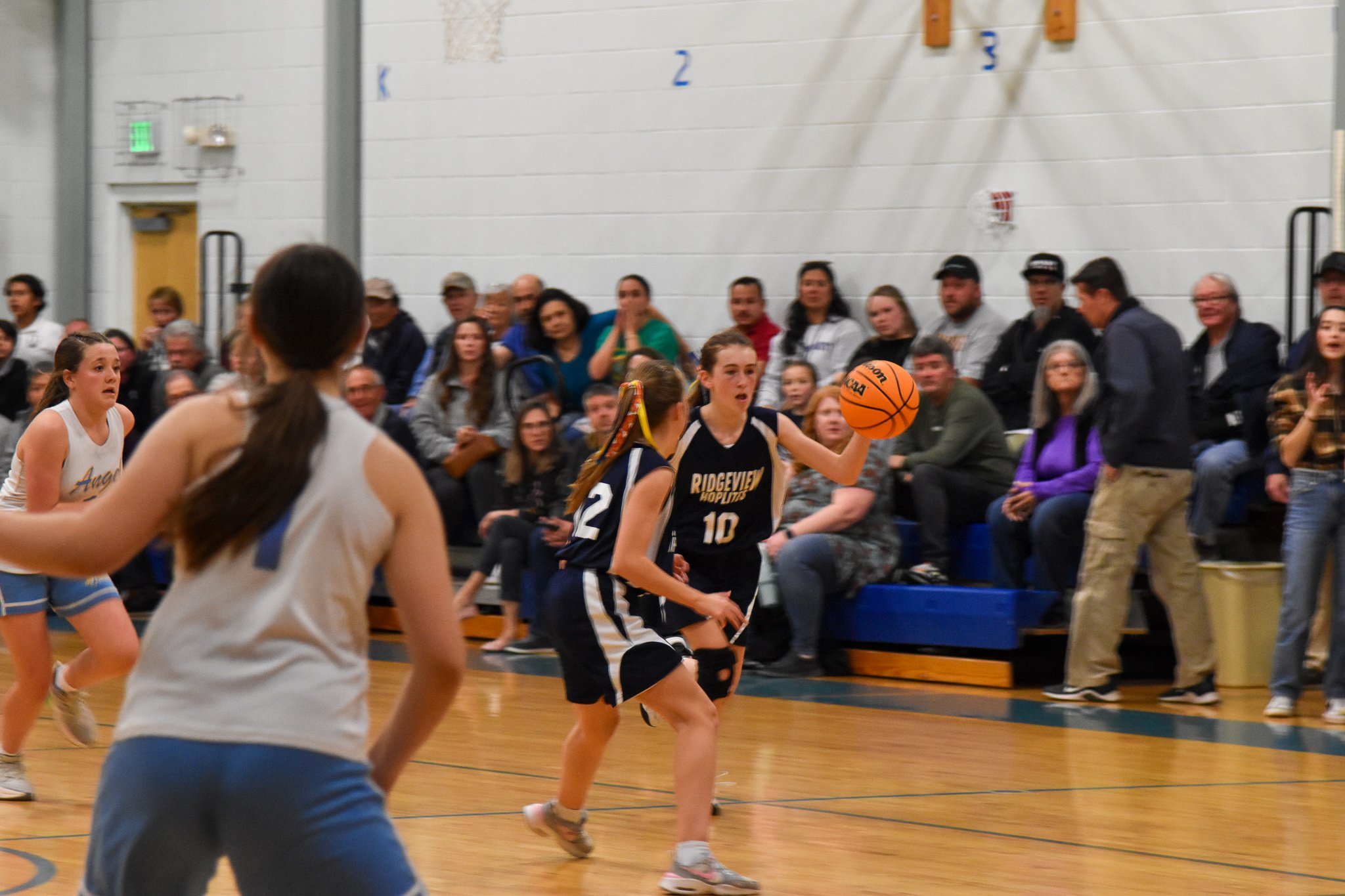 Ridgeview Girls Basketball NCIL Championship_0954.jpg