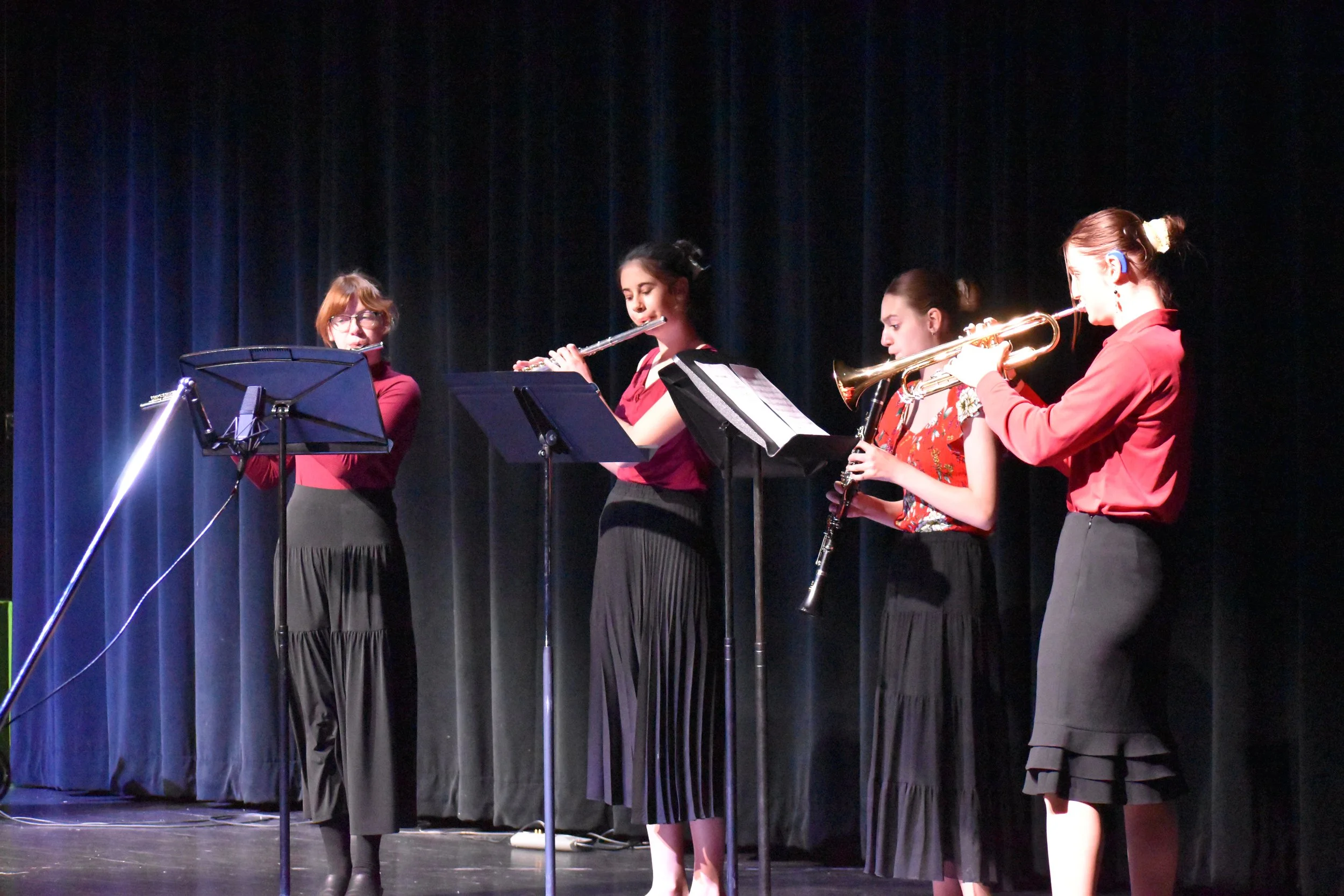 Spring Fine Arts Concert_0107.JPG