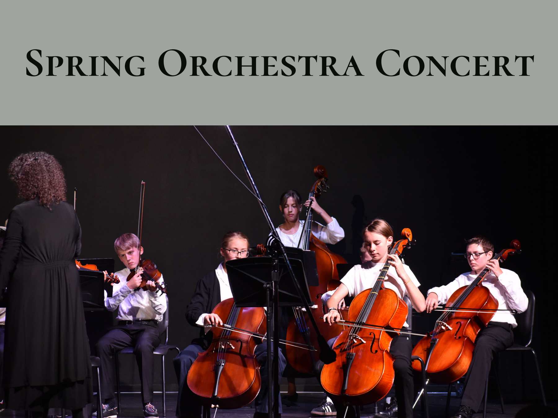 Spring Orchestra Concert