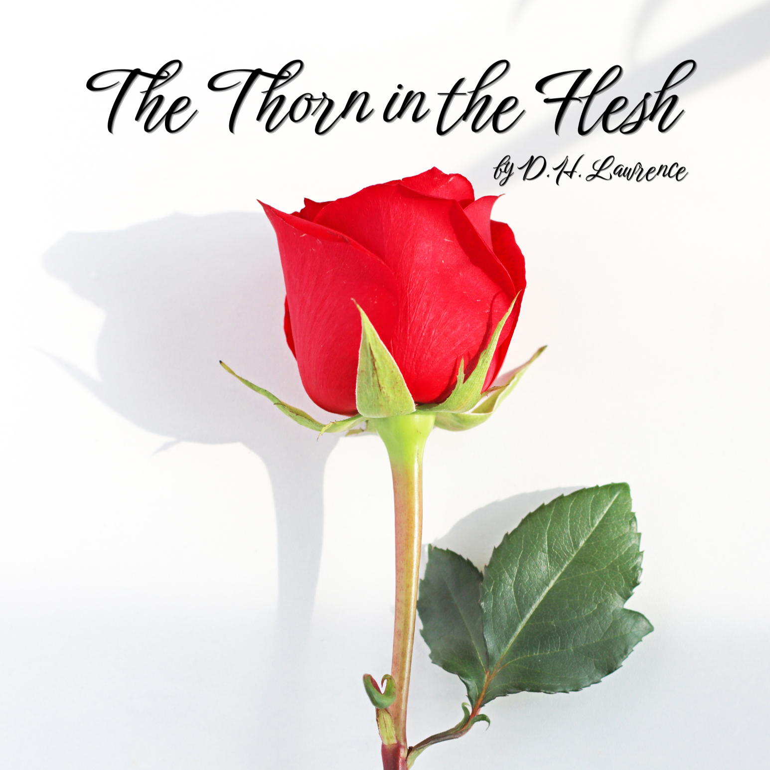 Weekly Parent Reading Group: The Thorn in the Flesh
