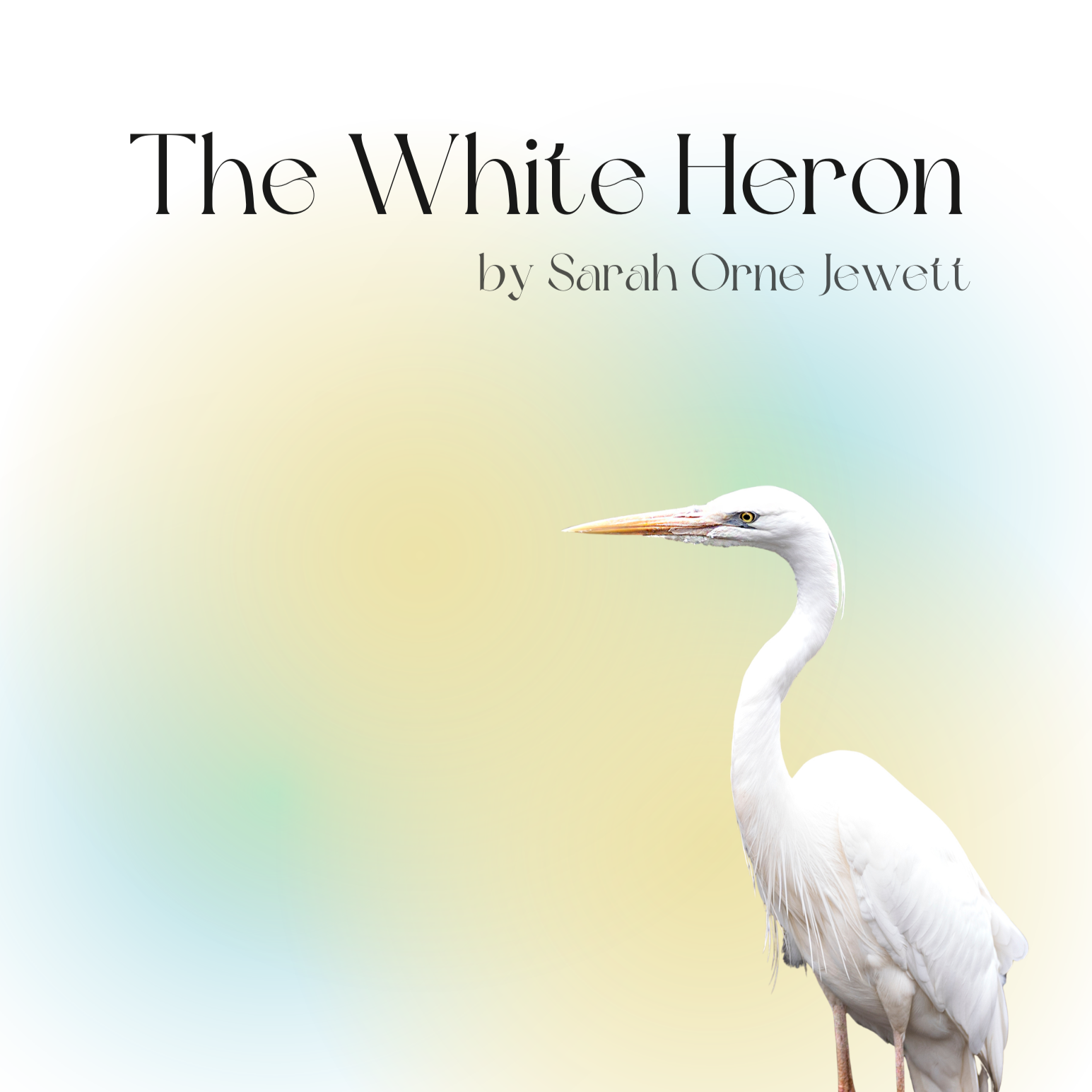 Weekly Parent Reading Group: The White Heron