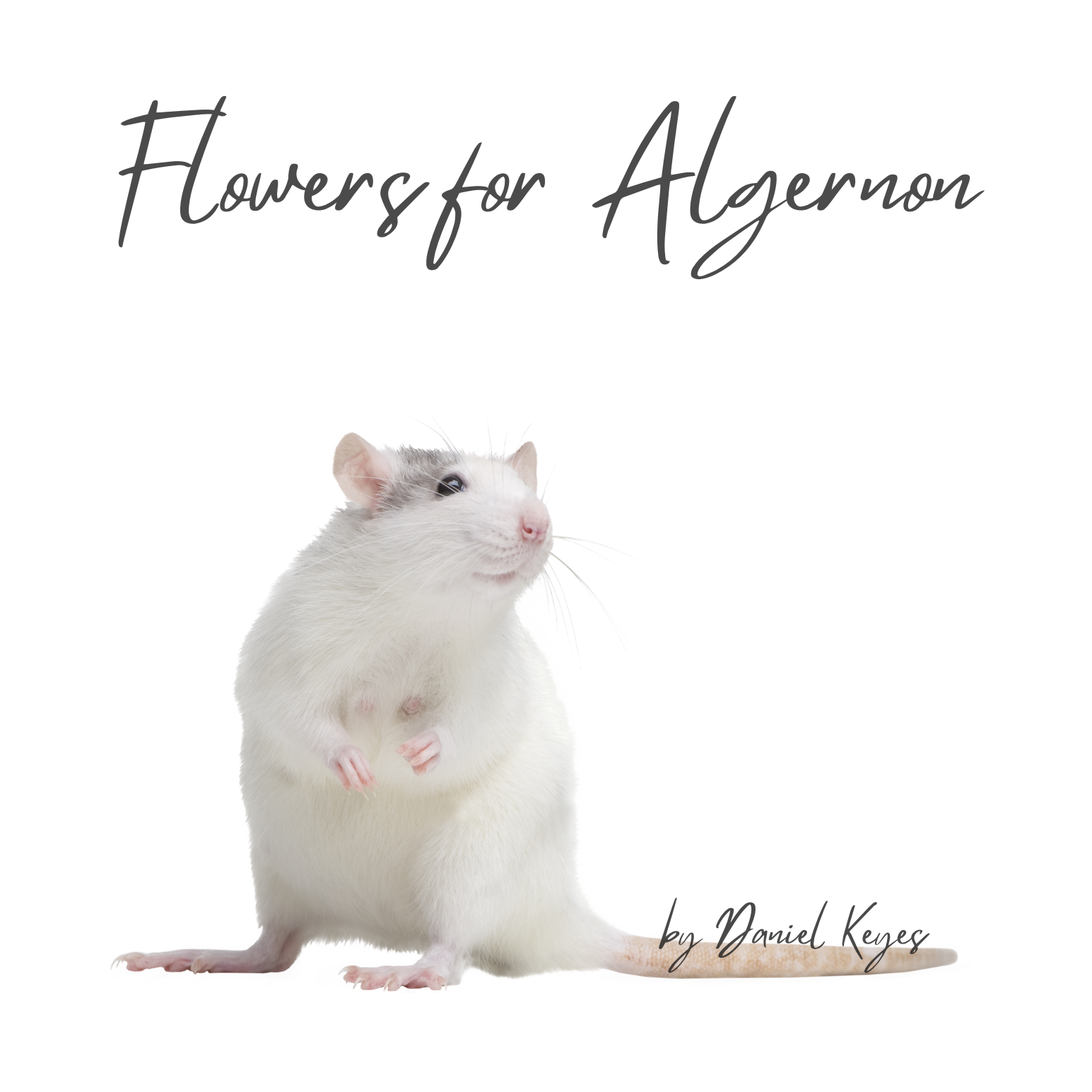 Weekly Parent Reading Group: Flowers For Algernon