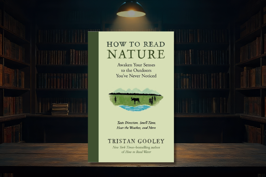 The Bookshop Recommends: How to Read Nature