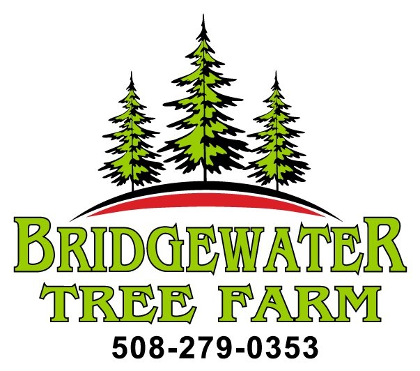 Bridgewater Tree Farm