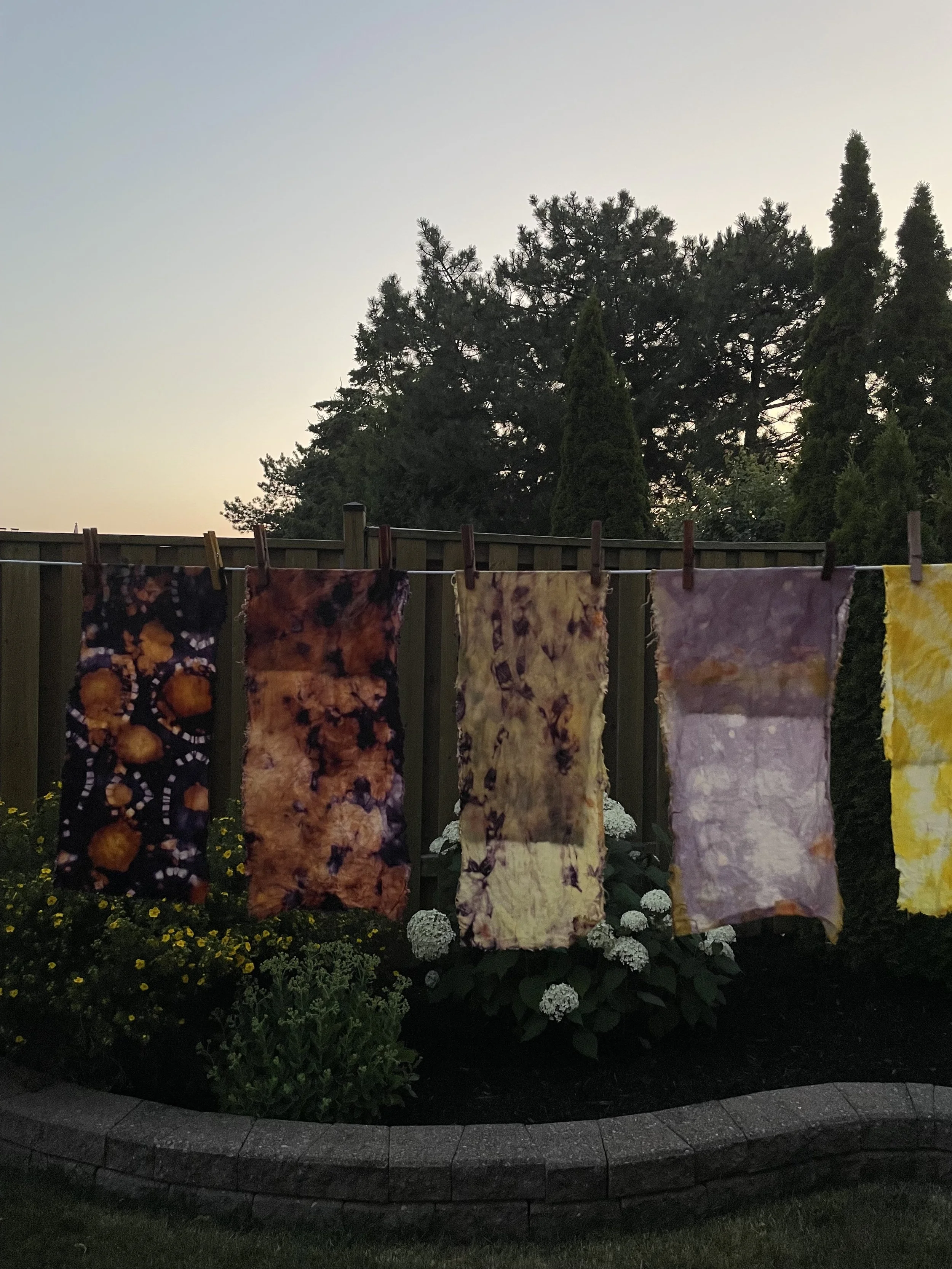 Field Research - 2.jpg