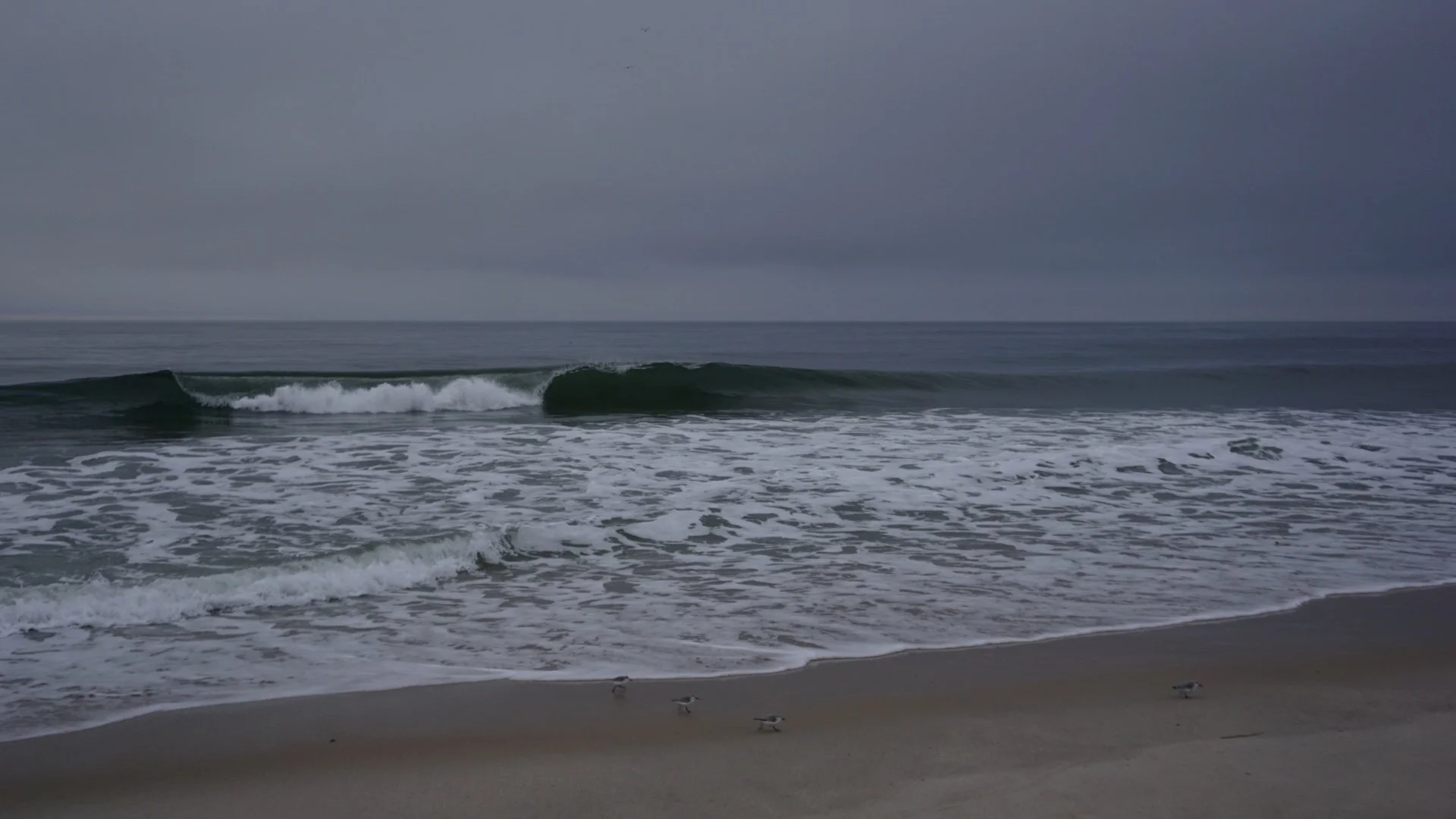 DSC02650.jpeg