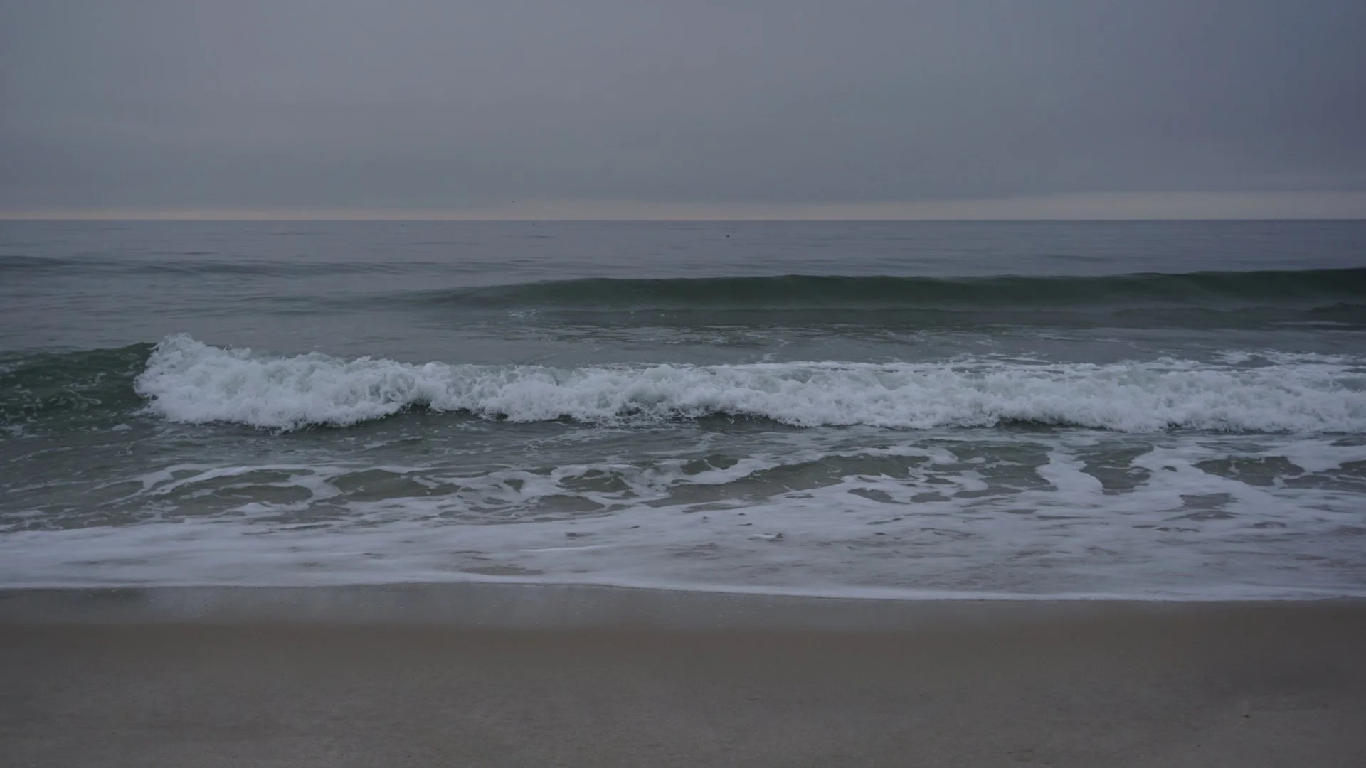 DSC02600.jpeg