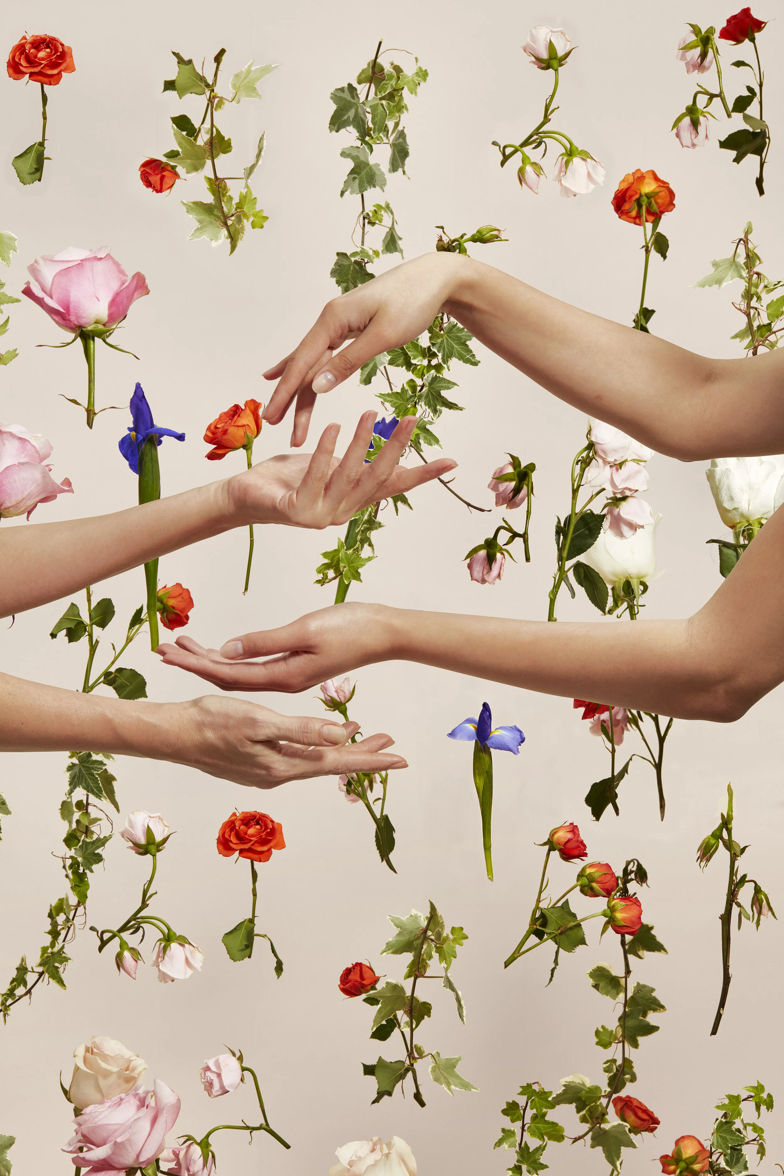 Hands_030_04.jpg