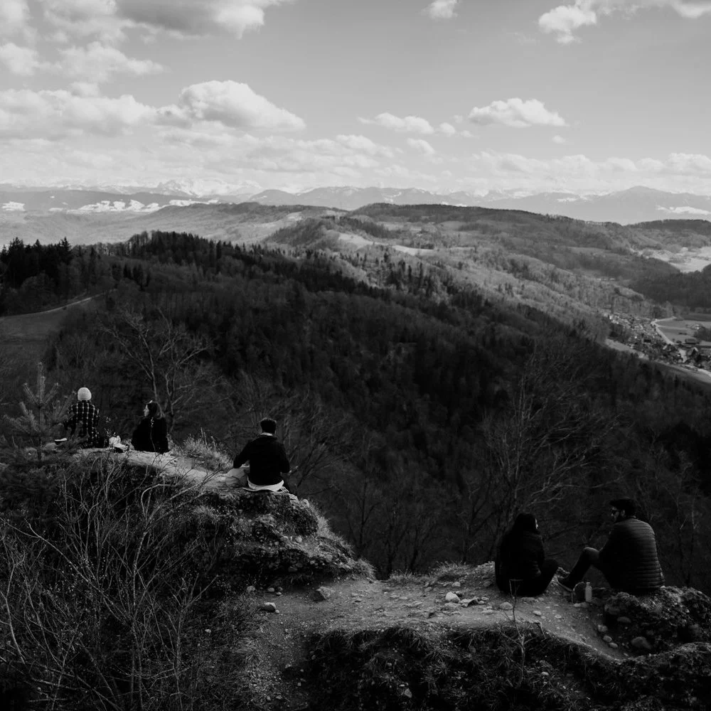 DIE DARSTELLUNG DES WALDES