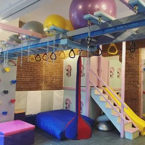 downtown_kids_therapy_sensory_gym_tribeca_pediatric_zip_line.jpg