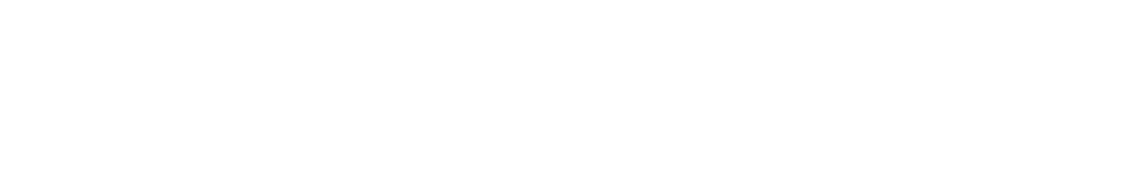 Flash_Logo_white.png