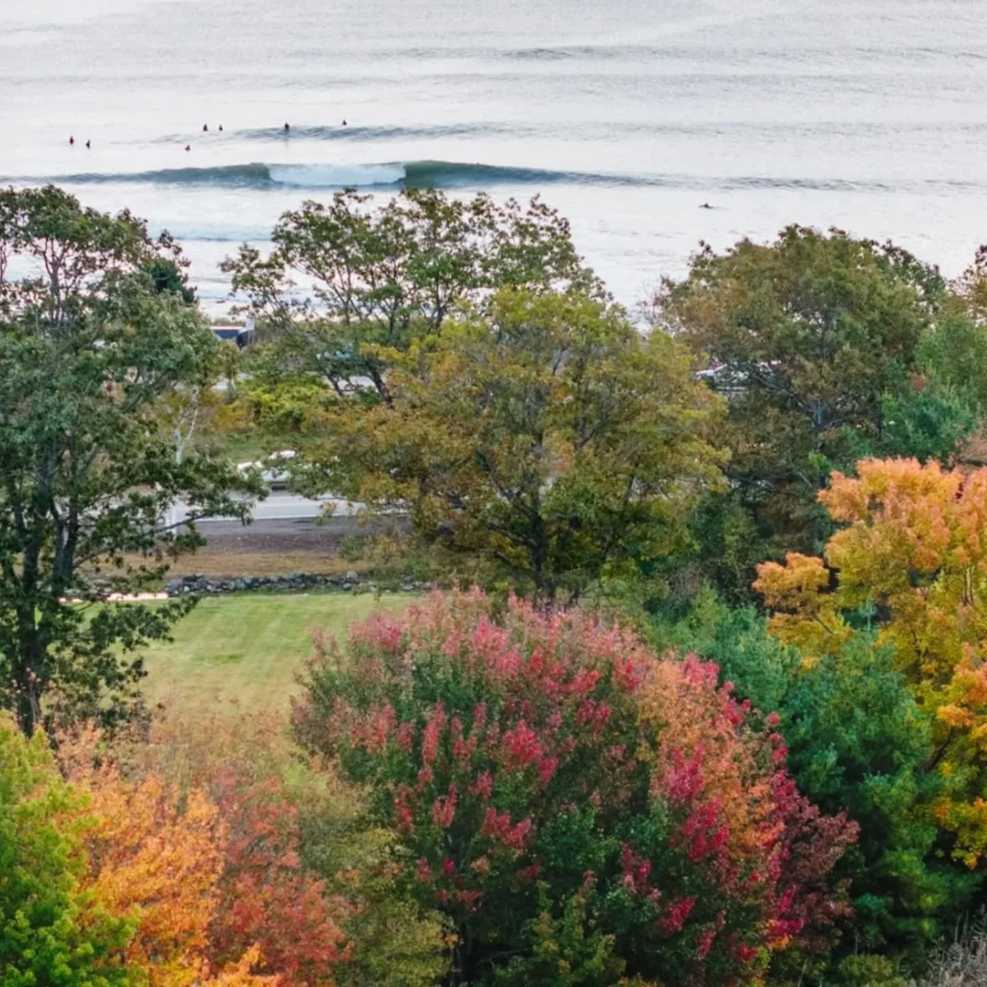 Fall in NH &hearts;️🍁🎃🌊
📷@nevinsphoto