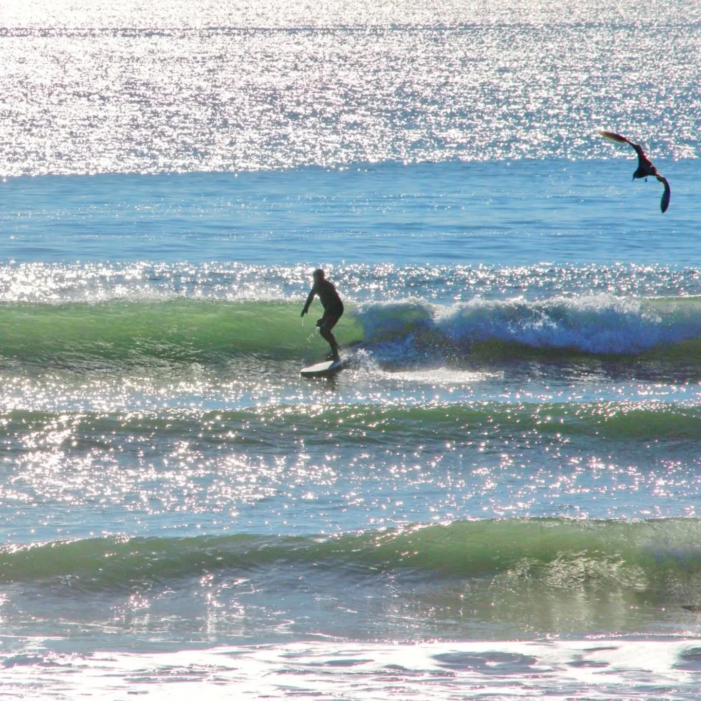 Days are getting longer and the ☀️ is getting stronger. Waist high plus leftover 🌊 swell today under sunny skies with springtime air temps.