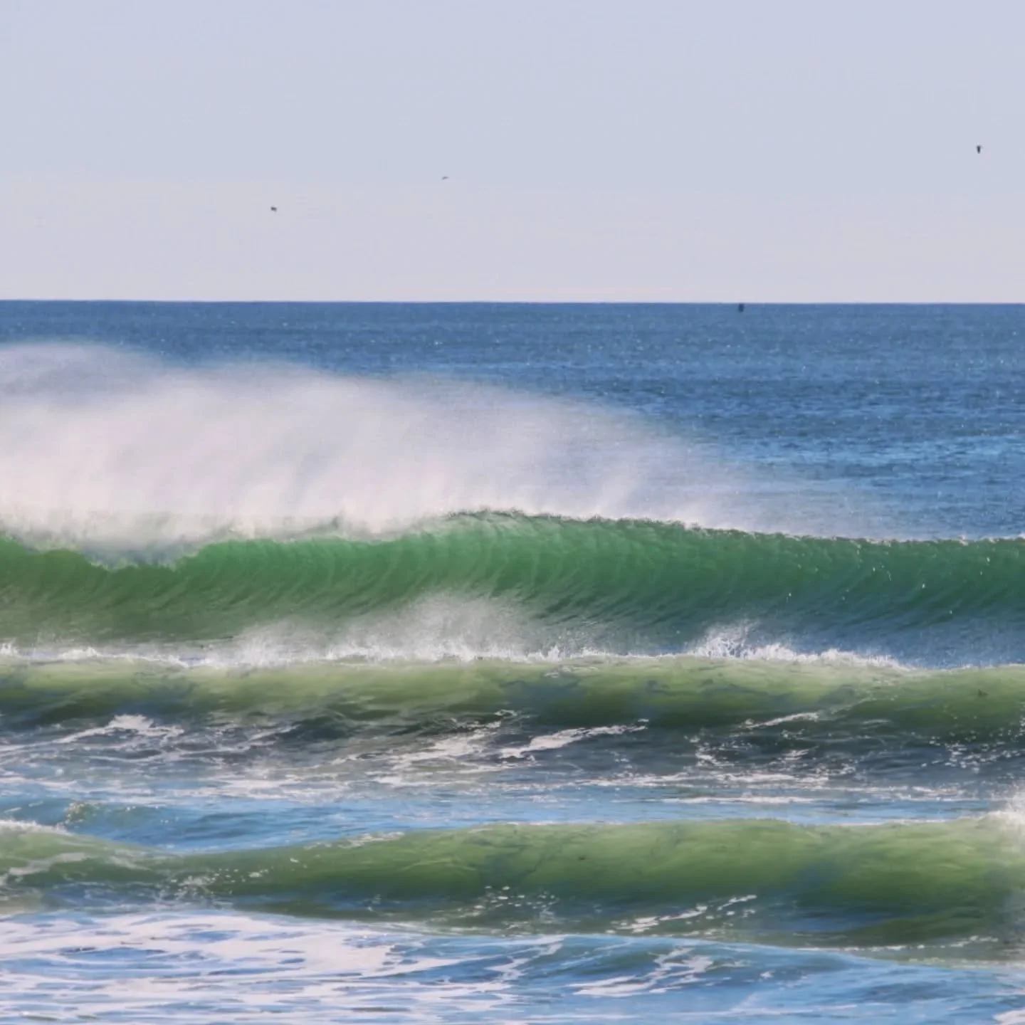 Head high surf with sunny skies and offshore winds at The Wall this morning.New Shop hours now 10am til 7pm daily. ☀️🌊🔥