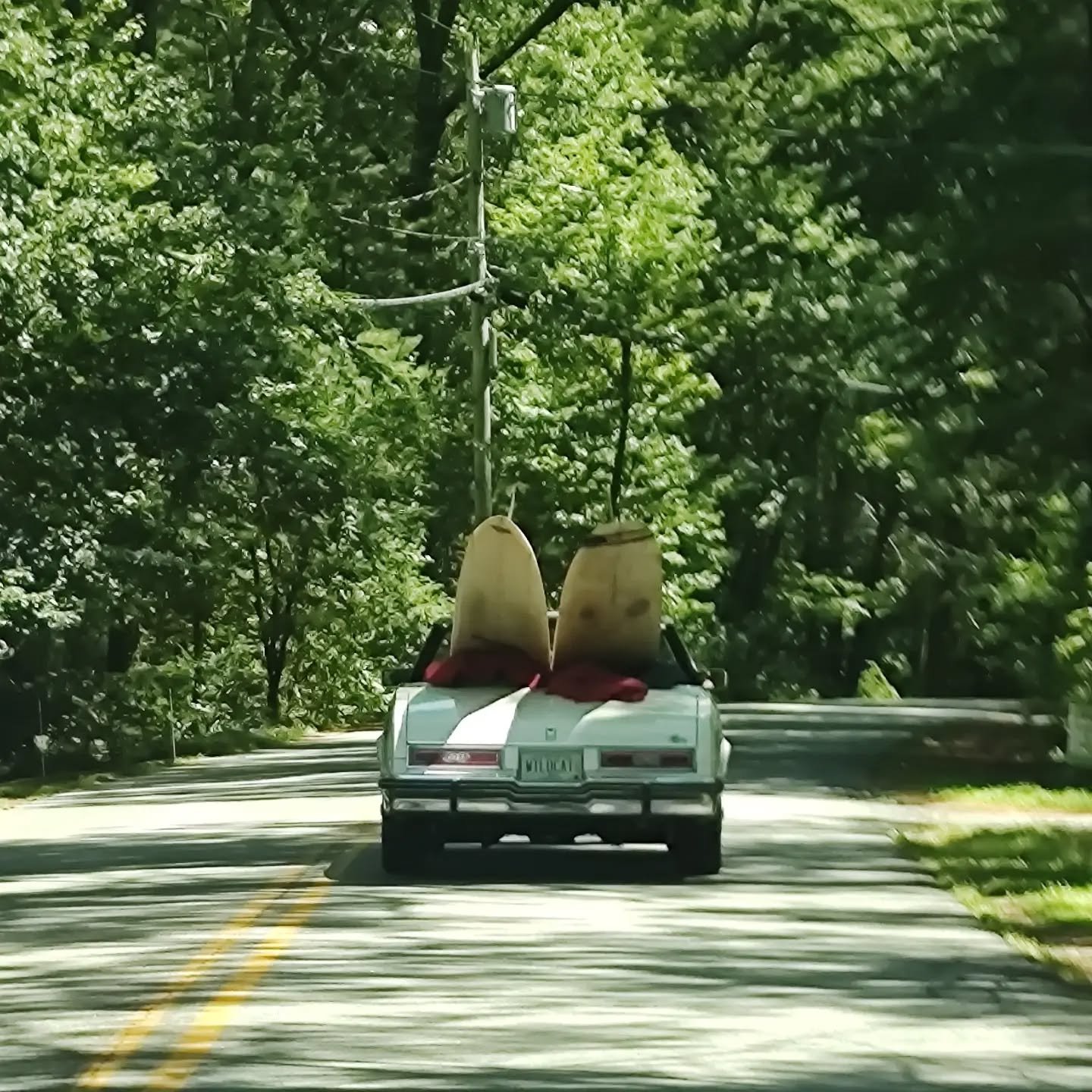 Let the good times roll indeed!
Summer in NH ☀️🌊