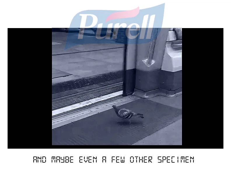 P5_ 2019_SNGERMLESS4.jpg