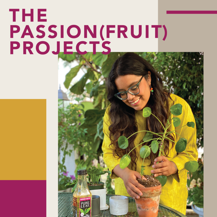 The+Passionfruit+Projects+Final_Sally+Garcia+01.png