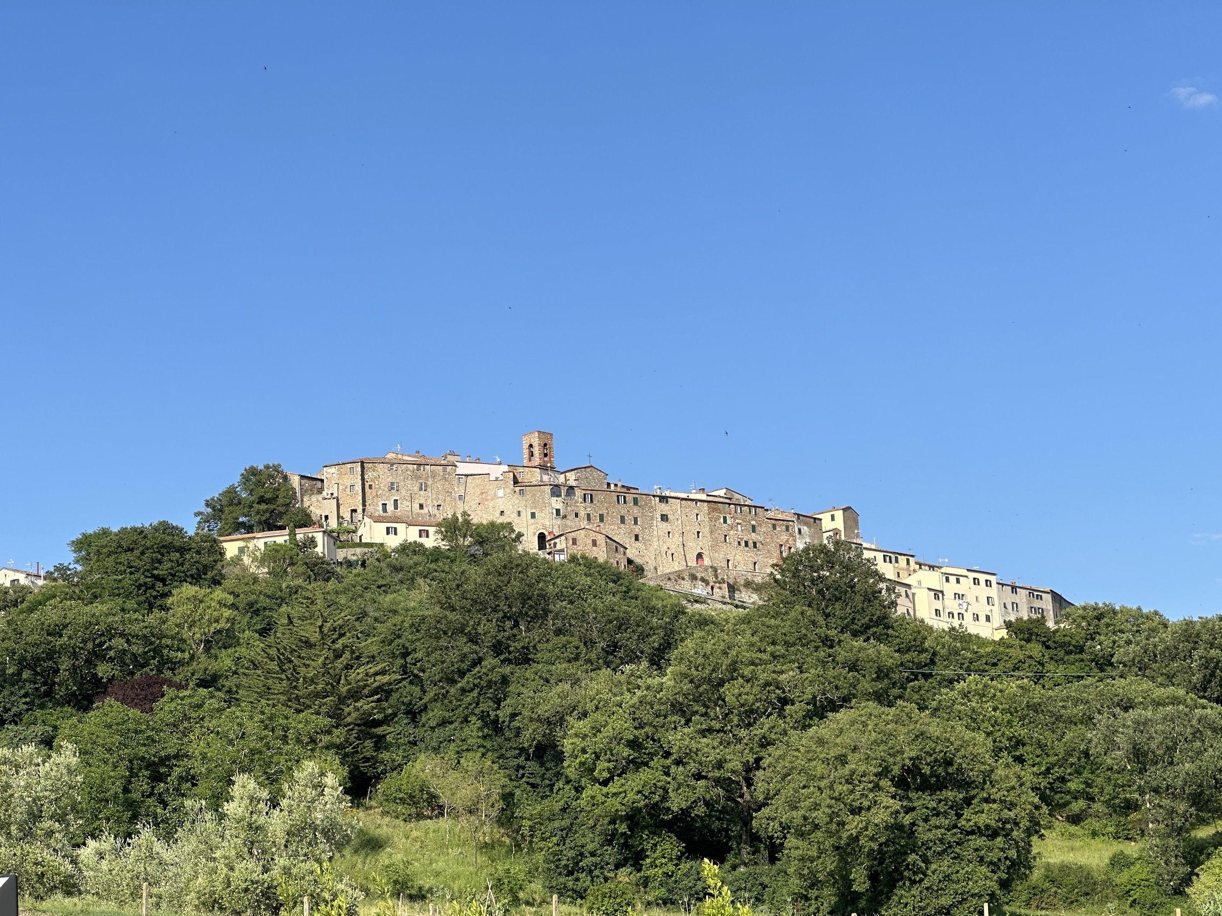 Serrazzano castle, South view