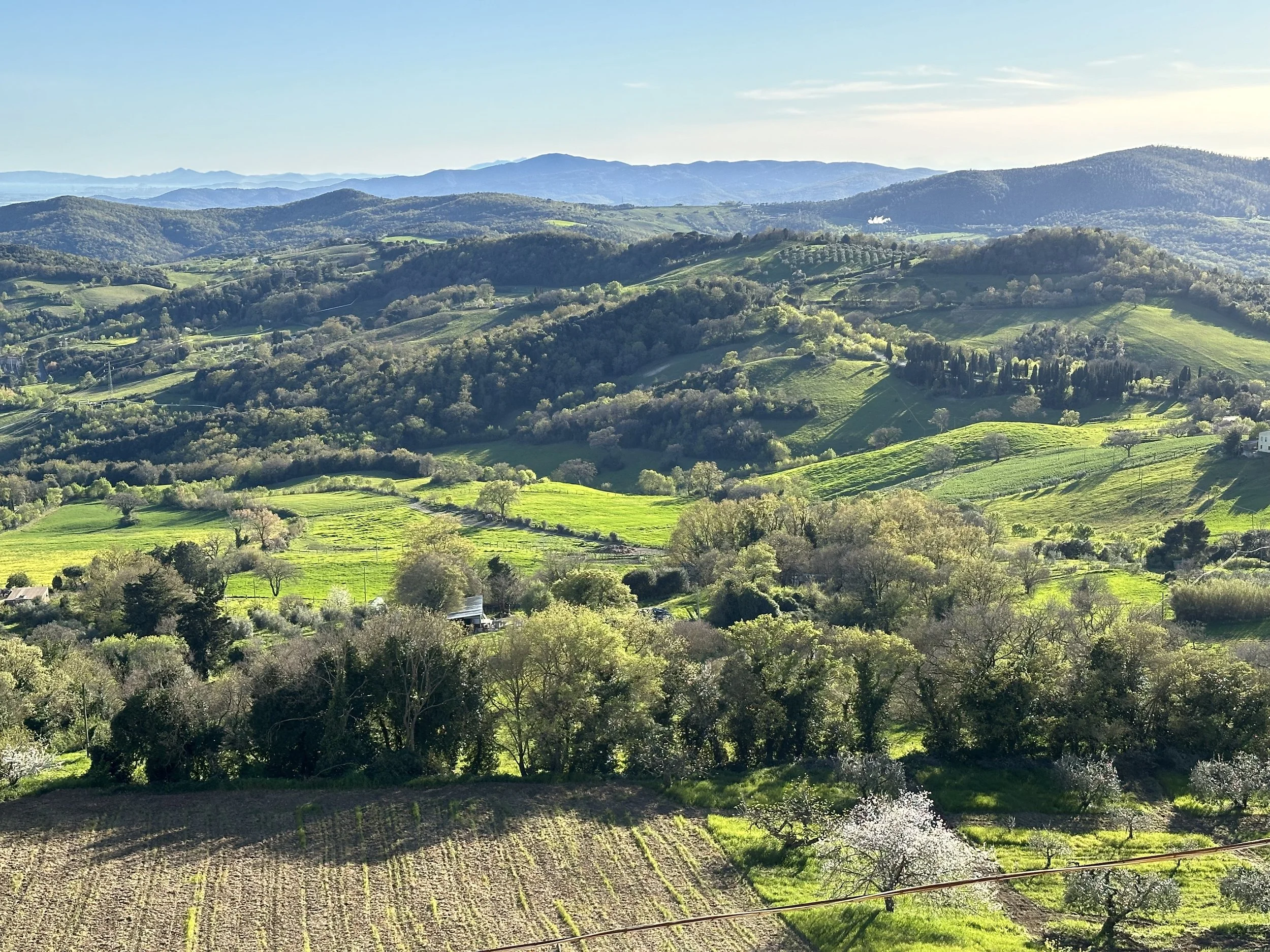 looking South from the letterpress workshoop