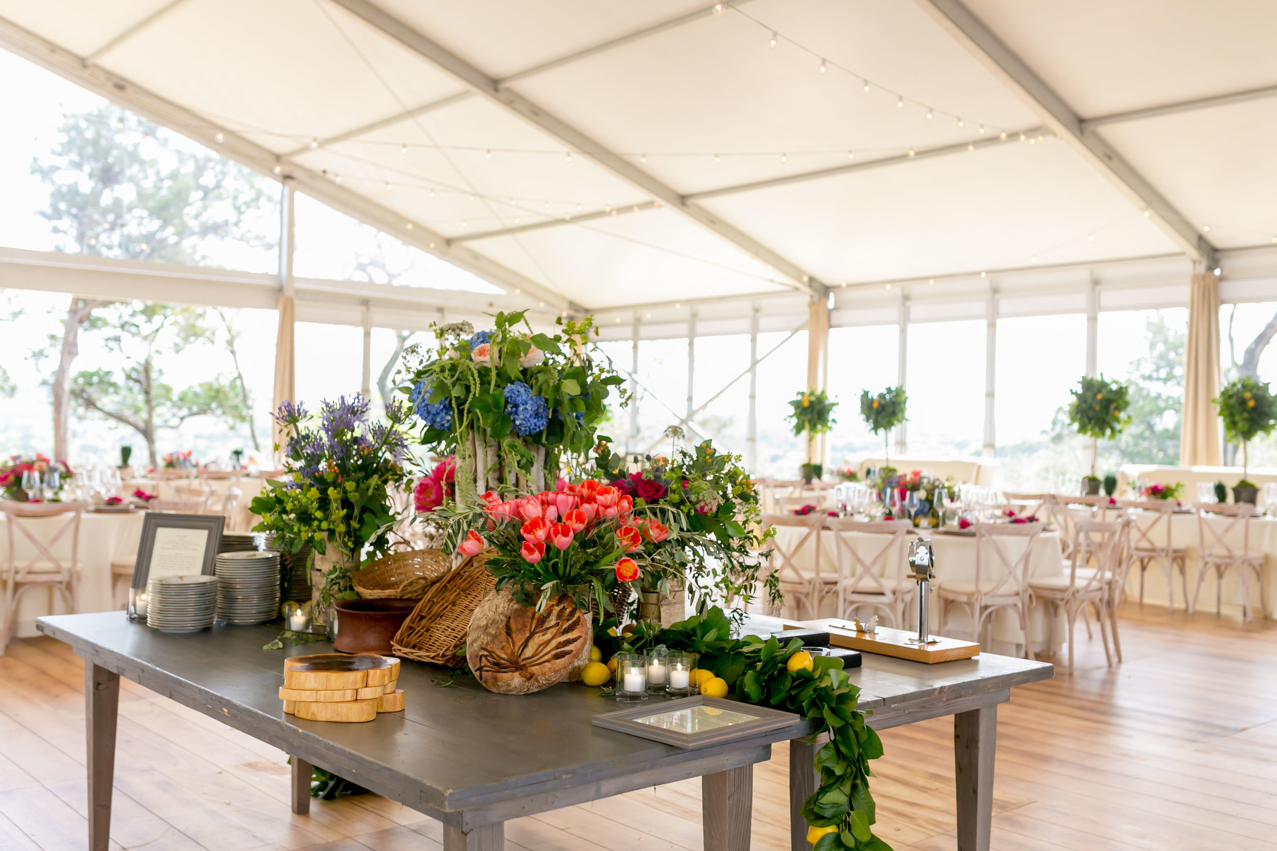 TownsleyVerve-March24.2018-9.jpg