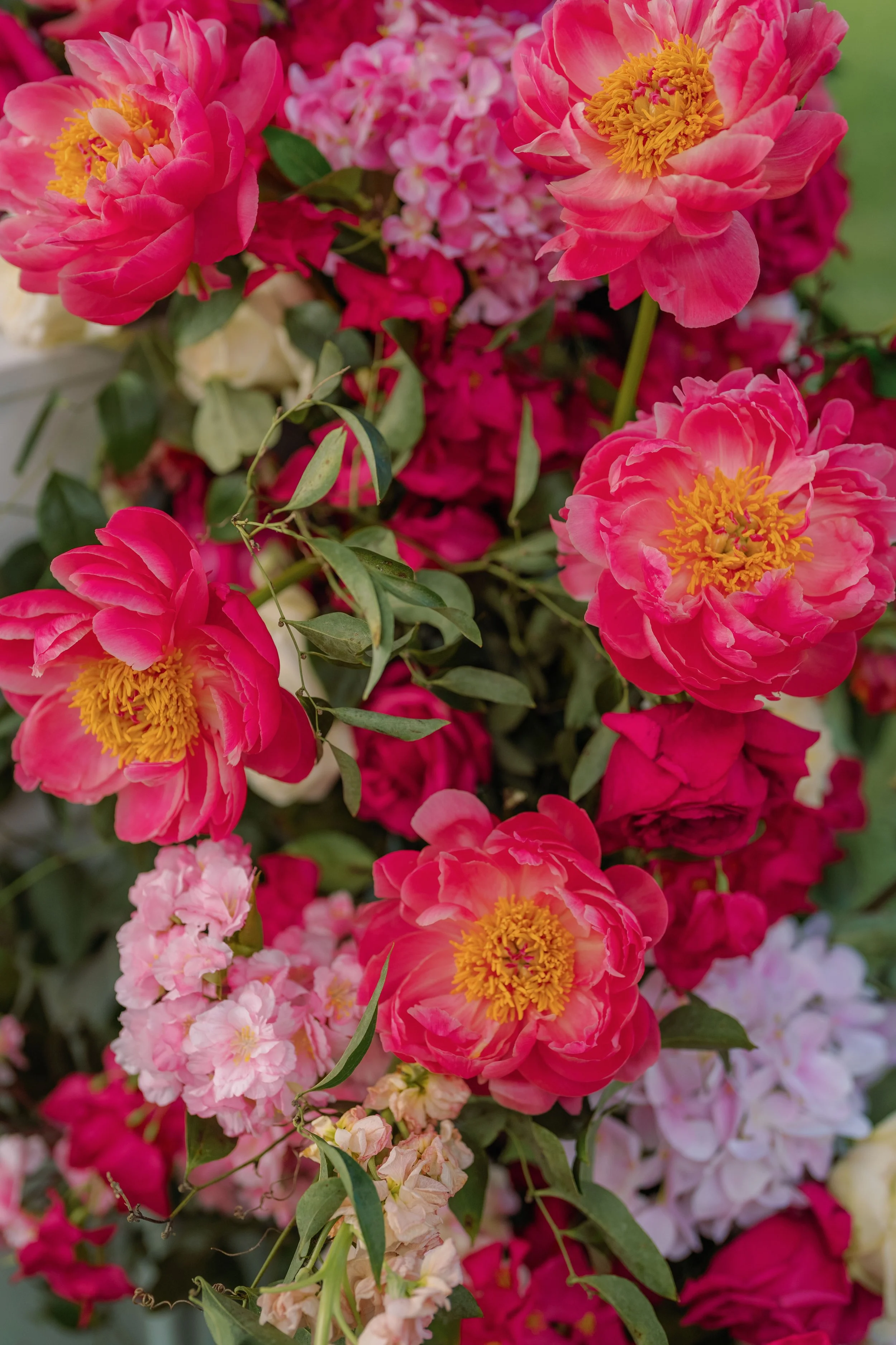 Anastasia Strate Photography_Priya & Arun Wedding Day 3-510.jpg