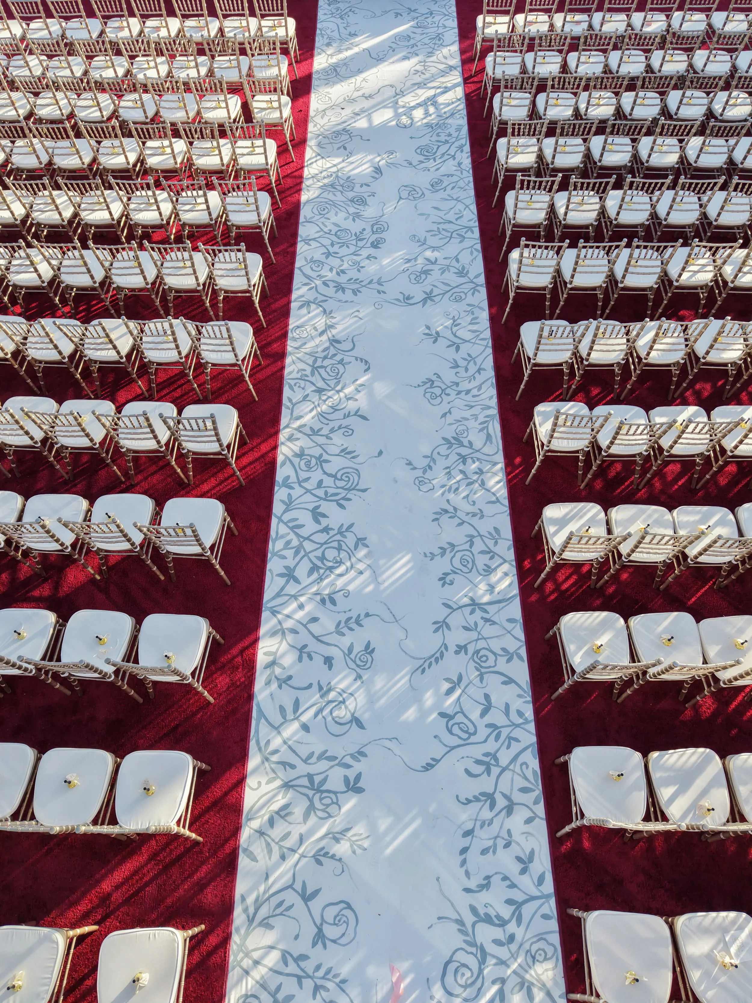 amy walker previews - carter rose-0023.jpg