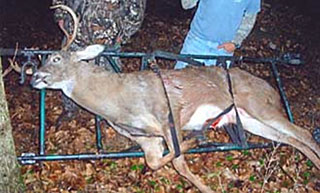 Bob Christian using the GameTote cart to haul out his whitetail deer in Illinois.