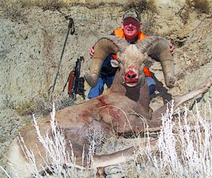 Joel's Big Horn Sheep