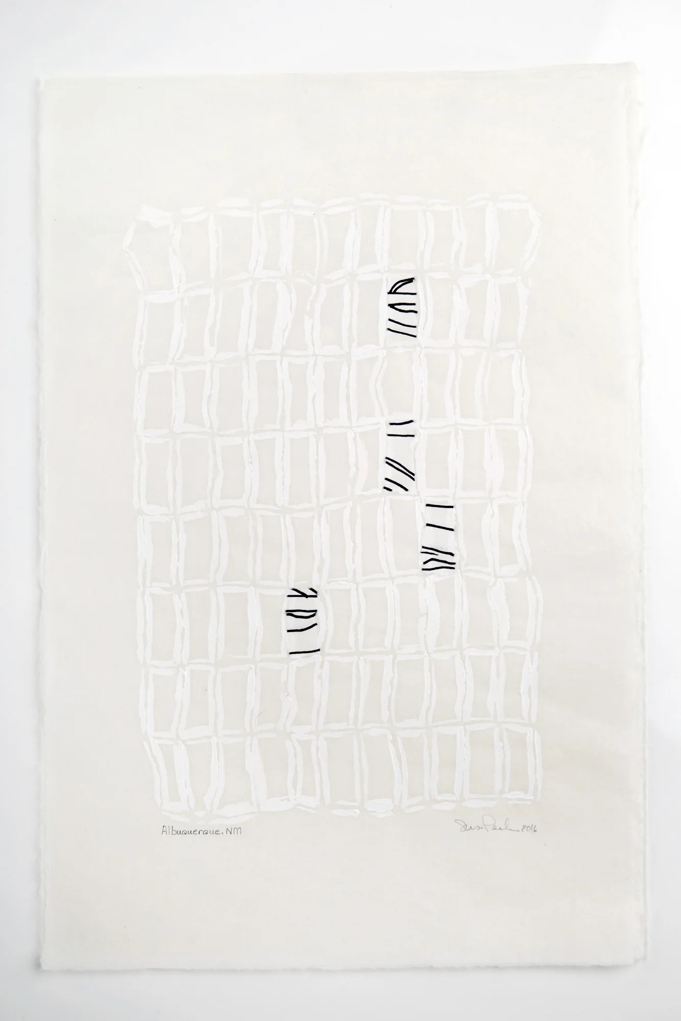 2016 Albuquerque NM.jpg