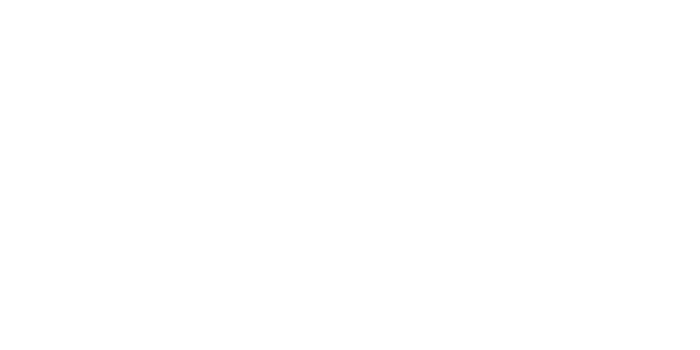 org-2x1.png