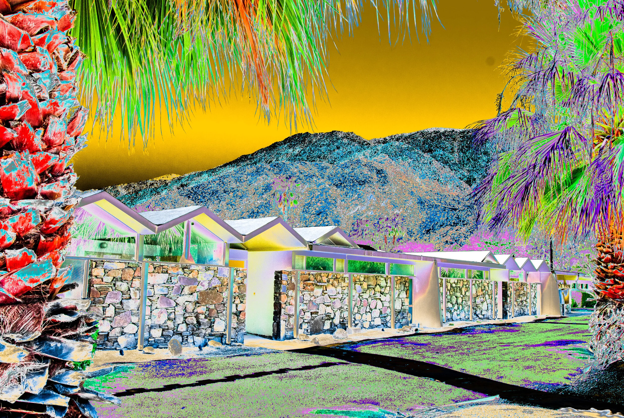 Palm Springs Red Palm Zig Zag