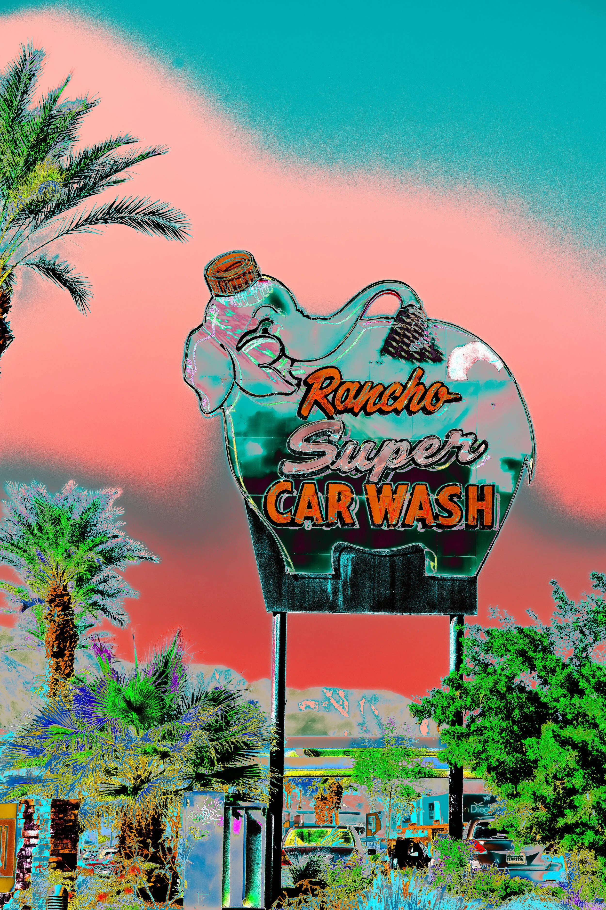 Elephant Car Wash