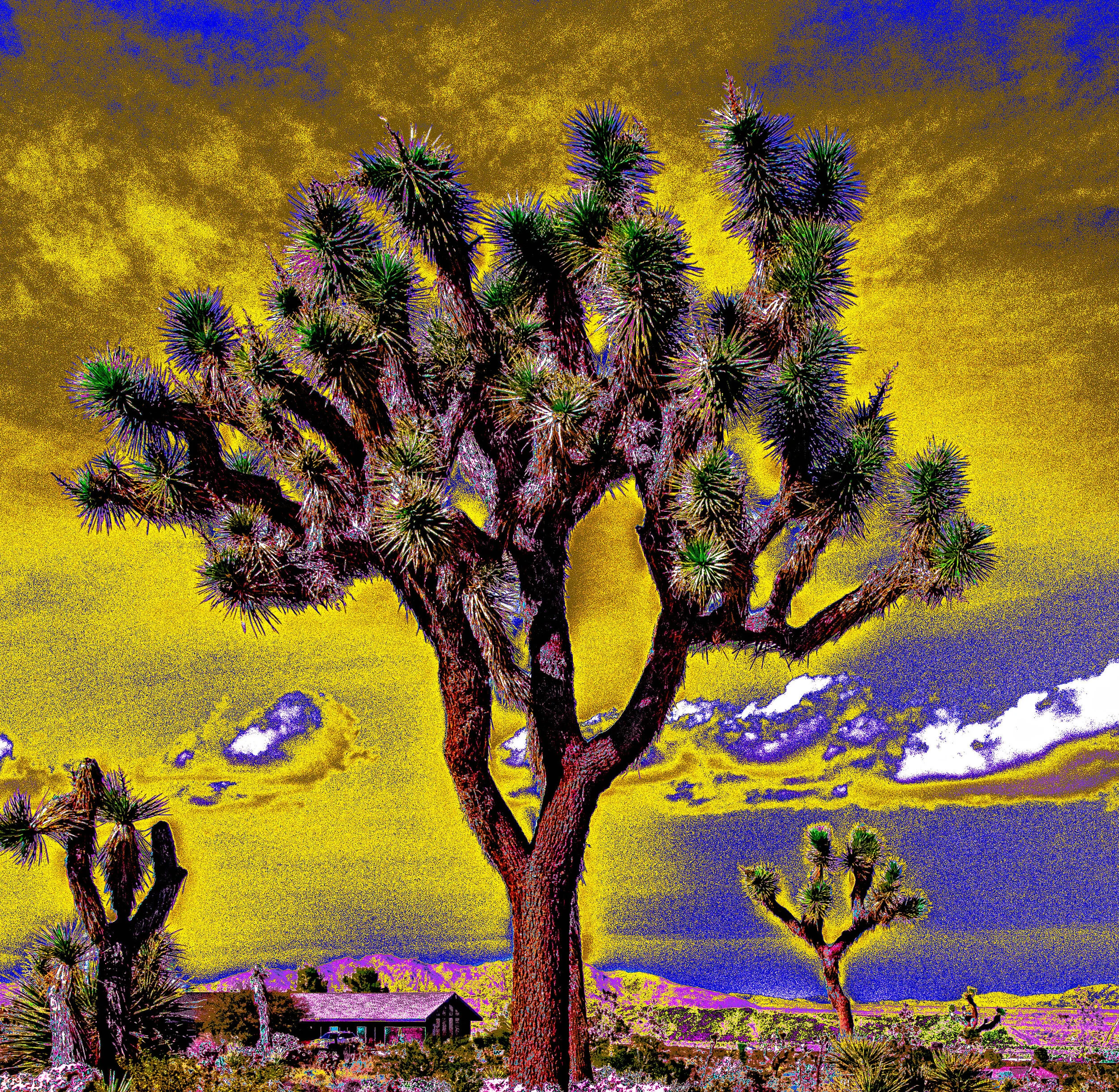 Joshua Tree Storm Clouds 2 YellowSky