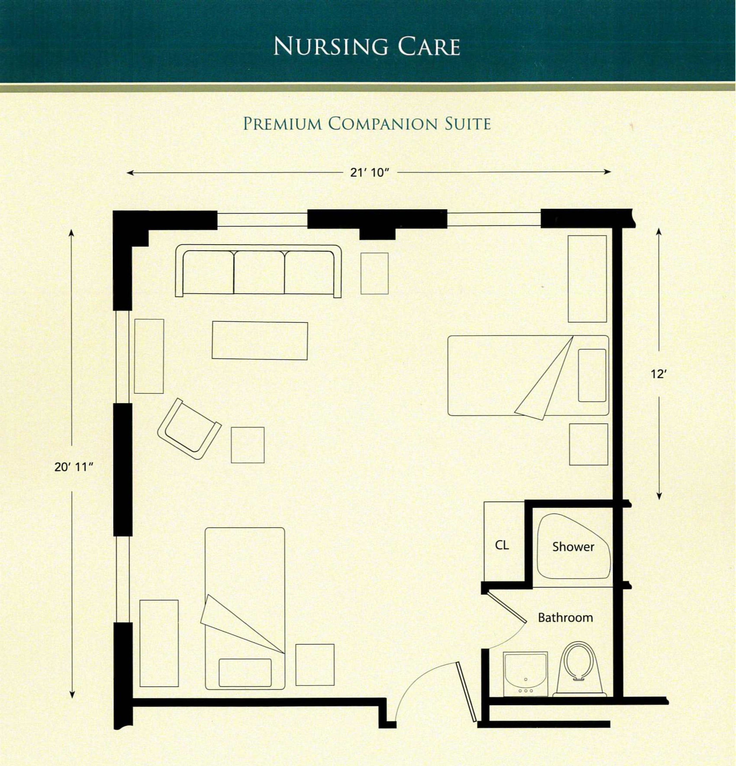 Nursing Care Premium Companion Suite