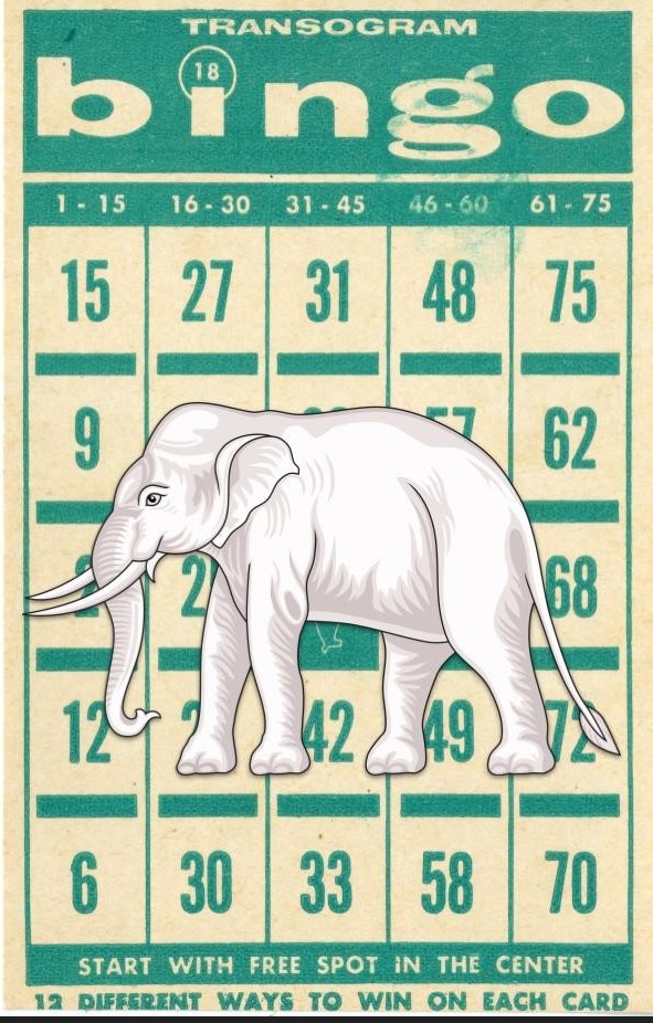 bingo.jpg