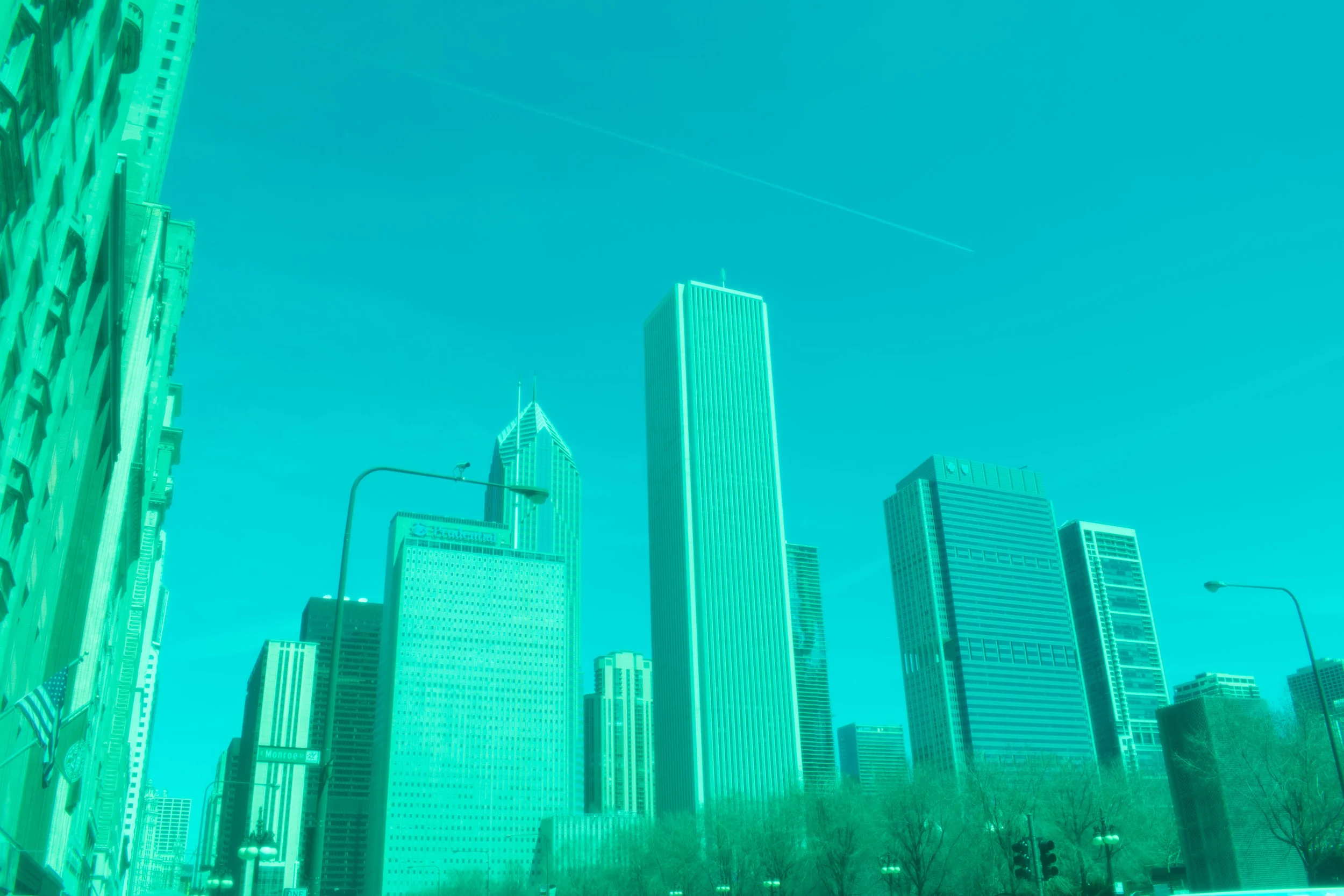 Green-31.jpg